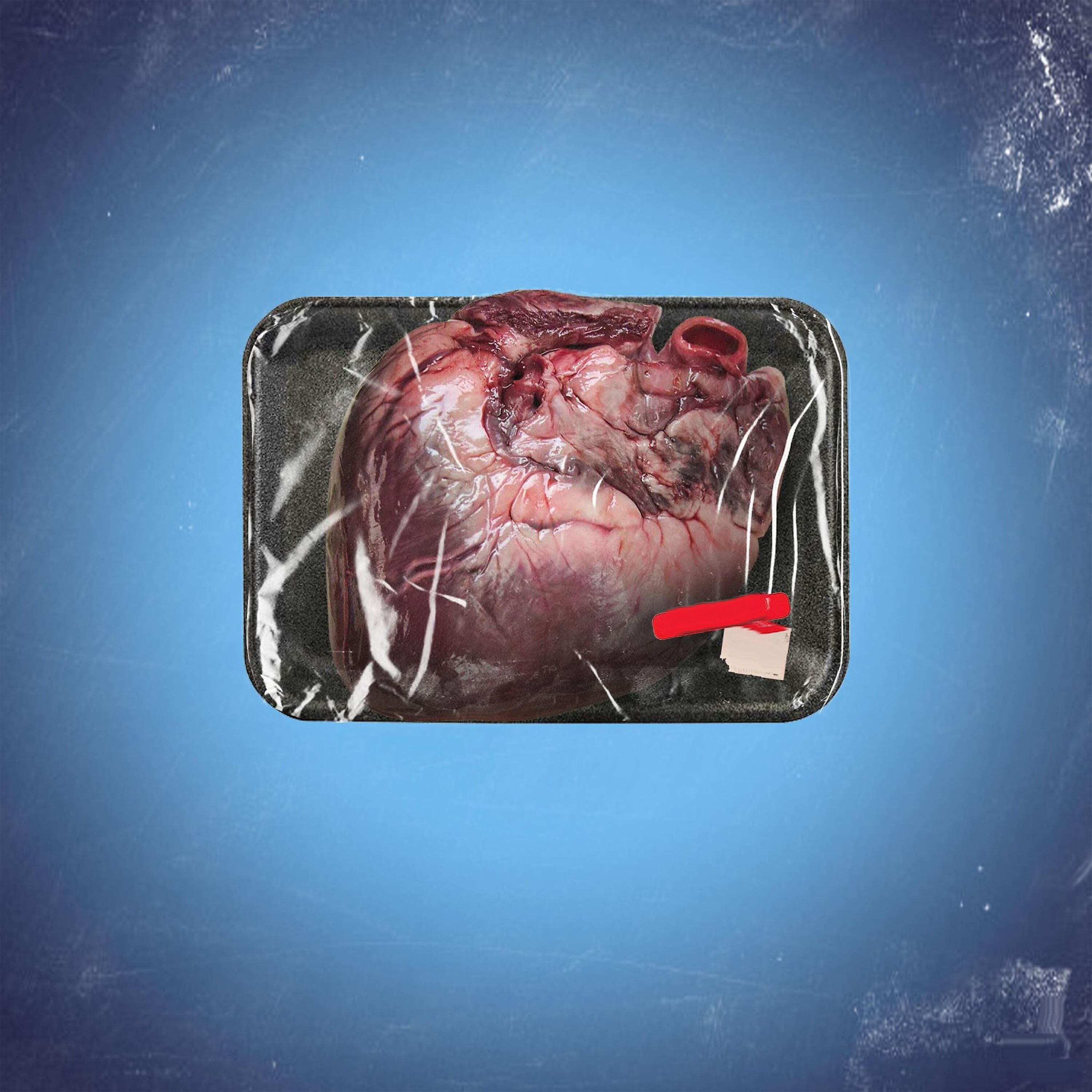 Релиз You Can Have My Heart