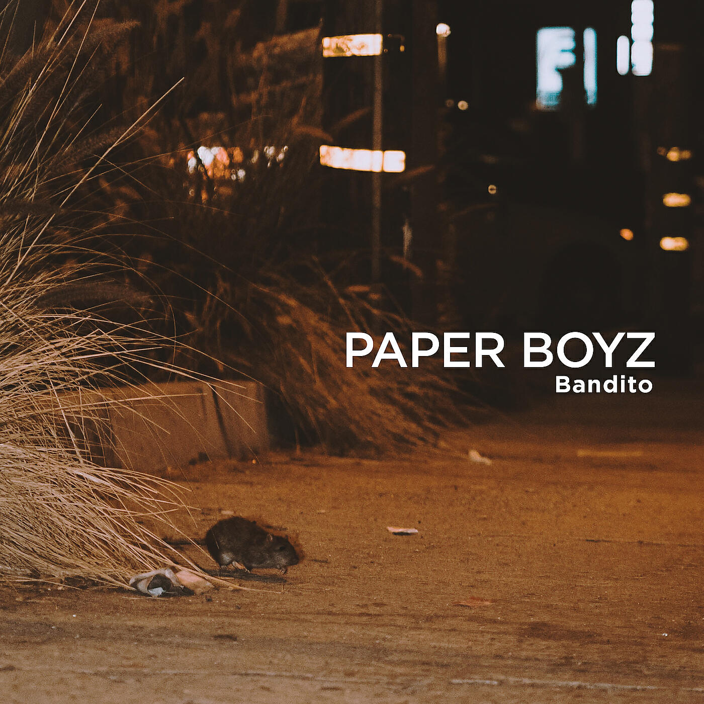Релиз Paper Boyz