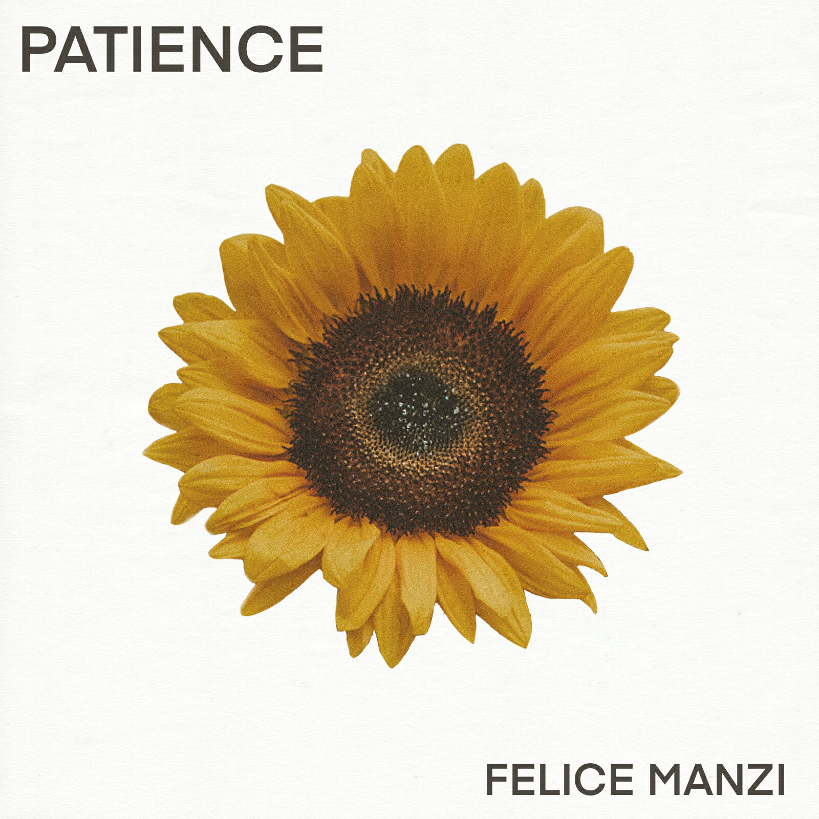 Релиз Patience