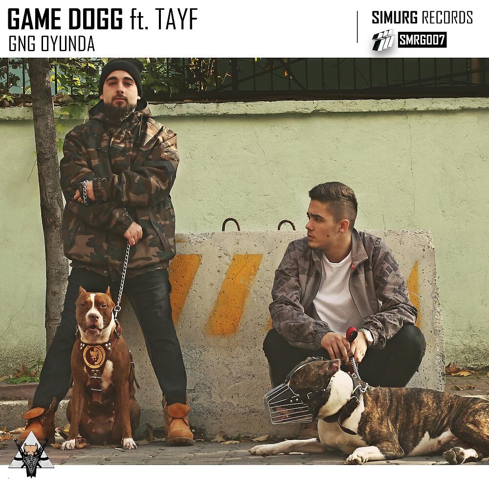 Tayf