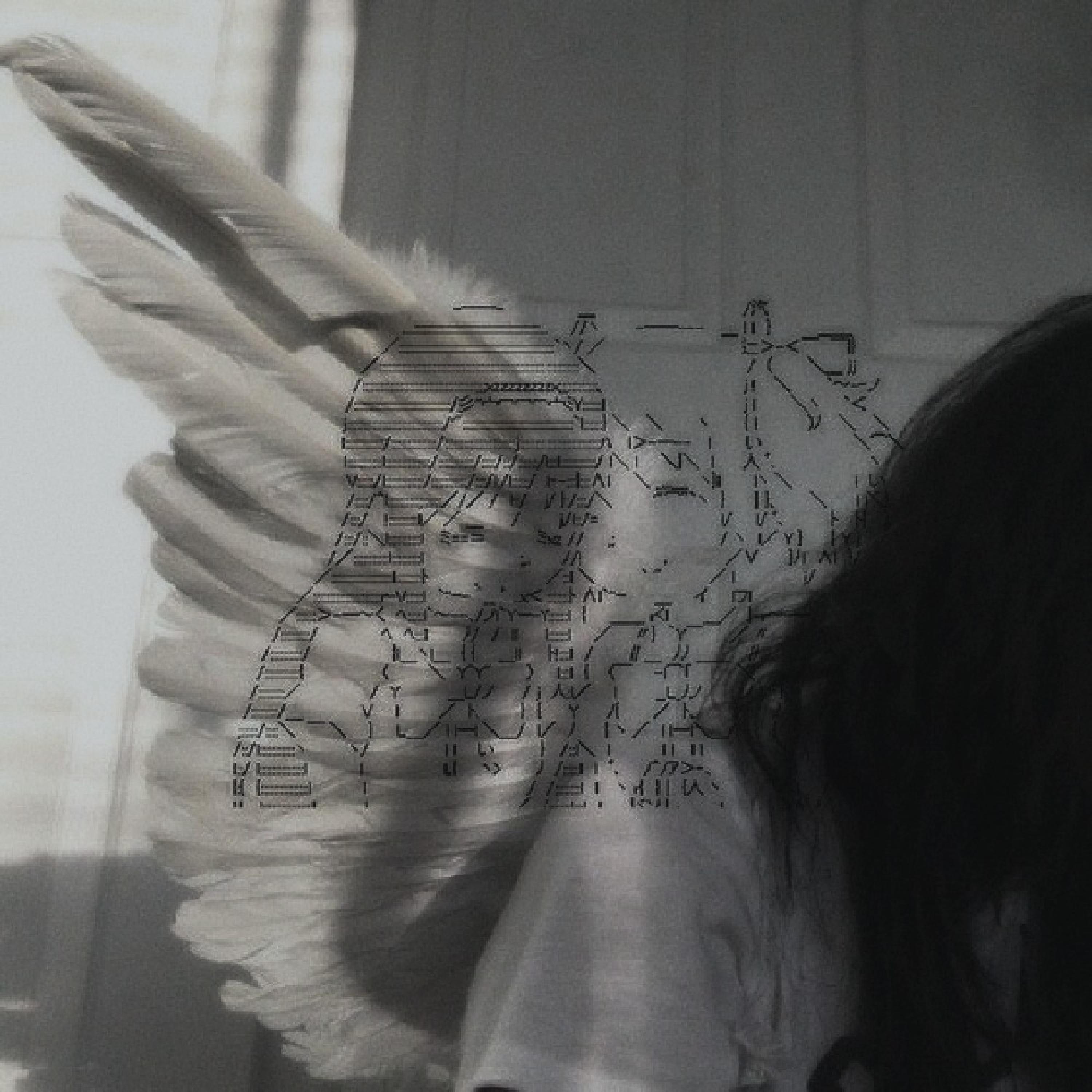 Релиз angel