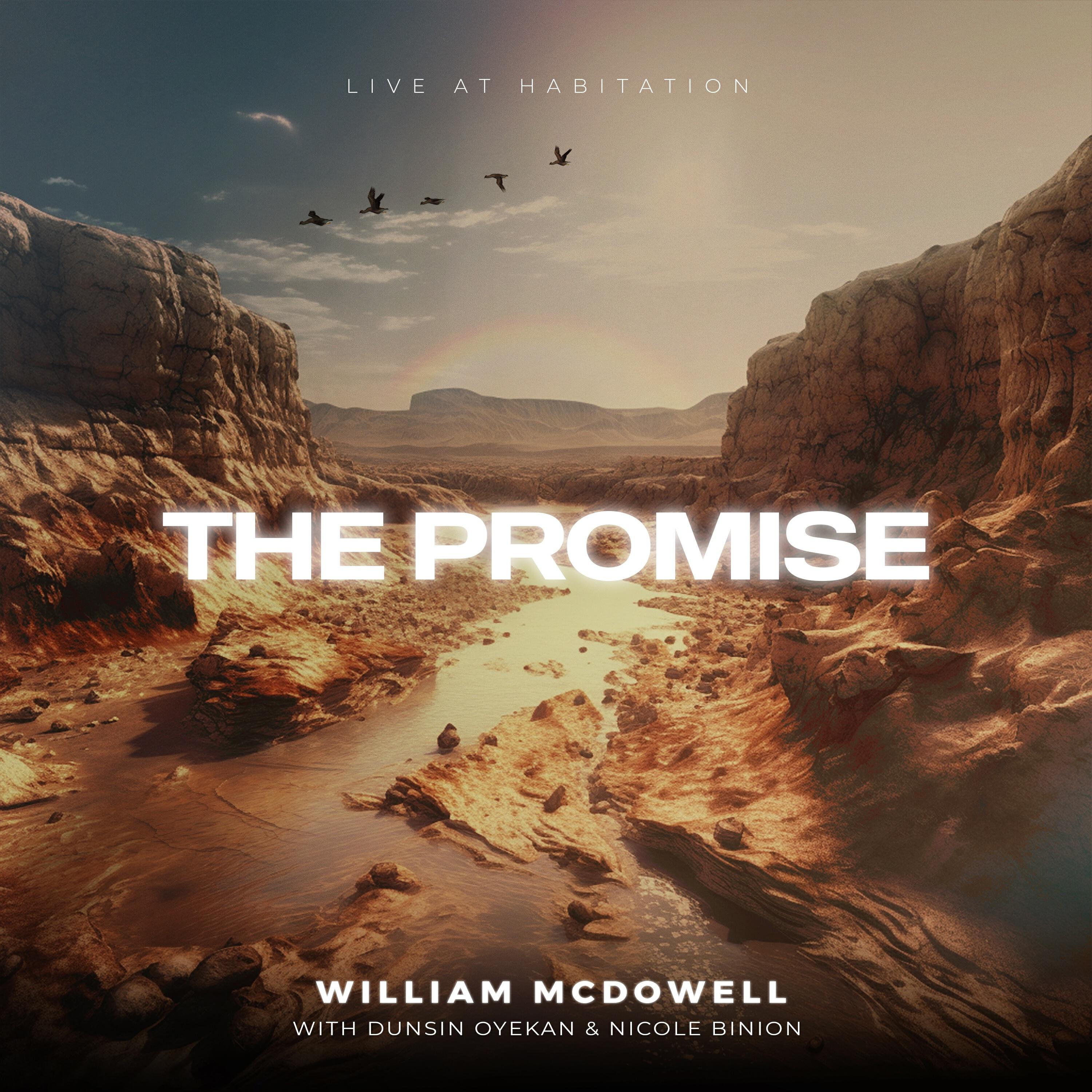 Релиз The Promise