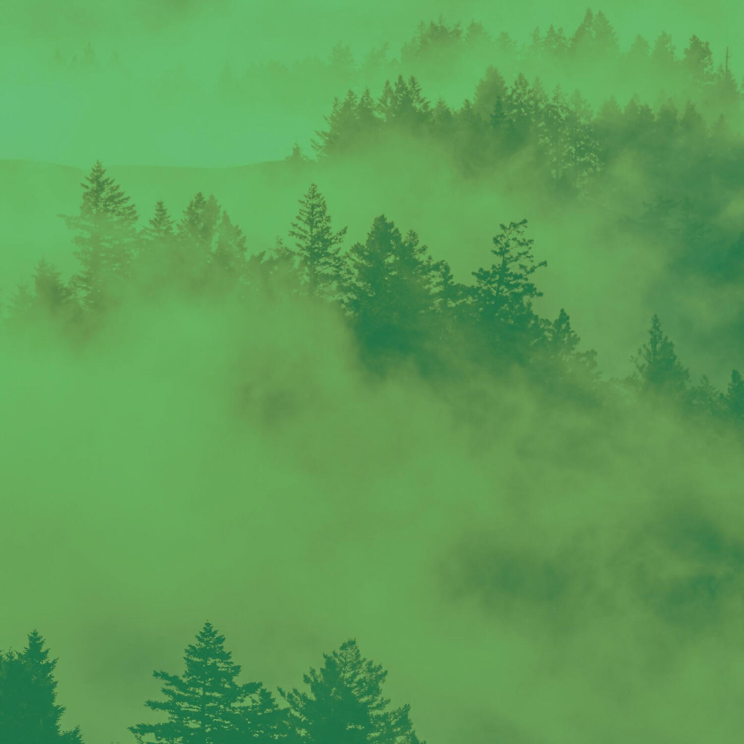 Трек Calm Duduk and Piano - Vibe for Deep Focus