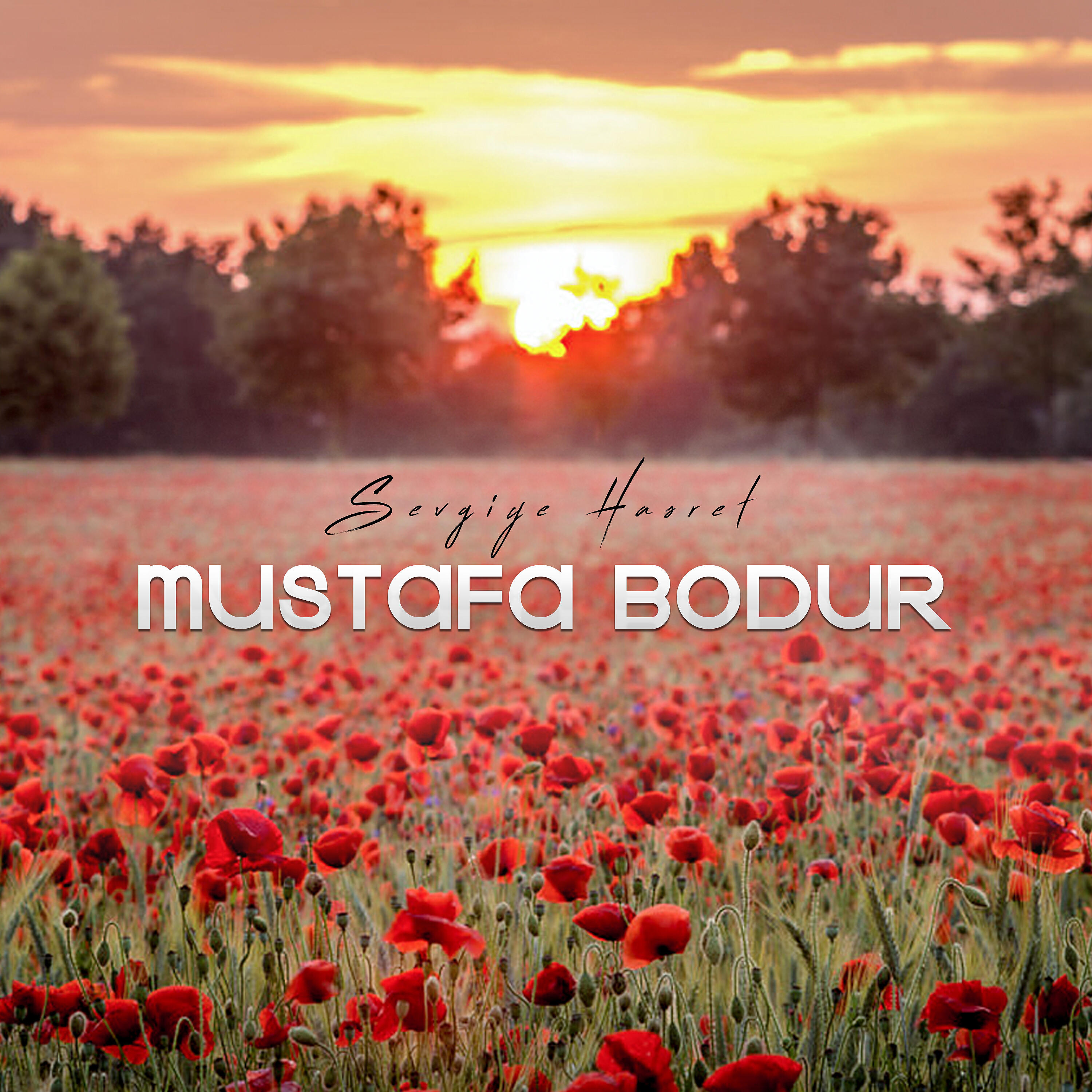 Mustafa Bodur