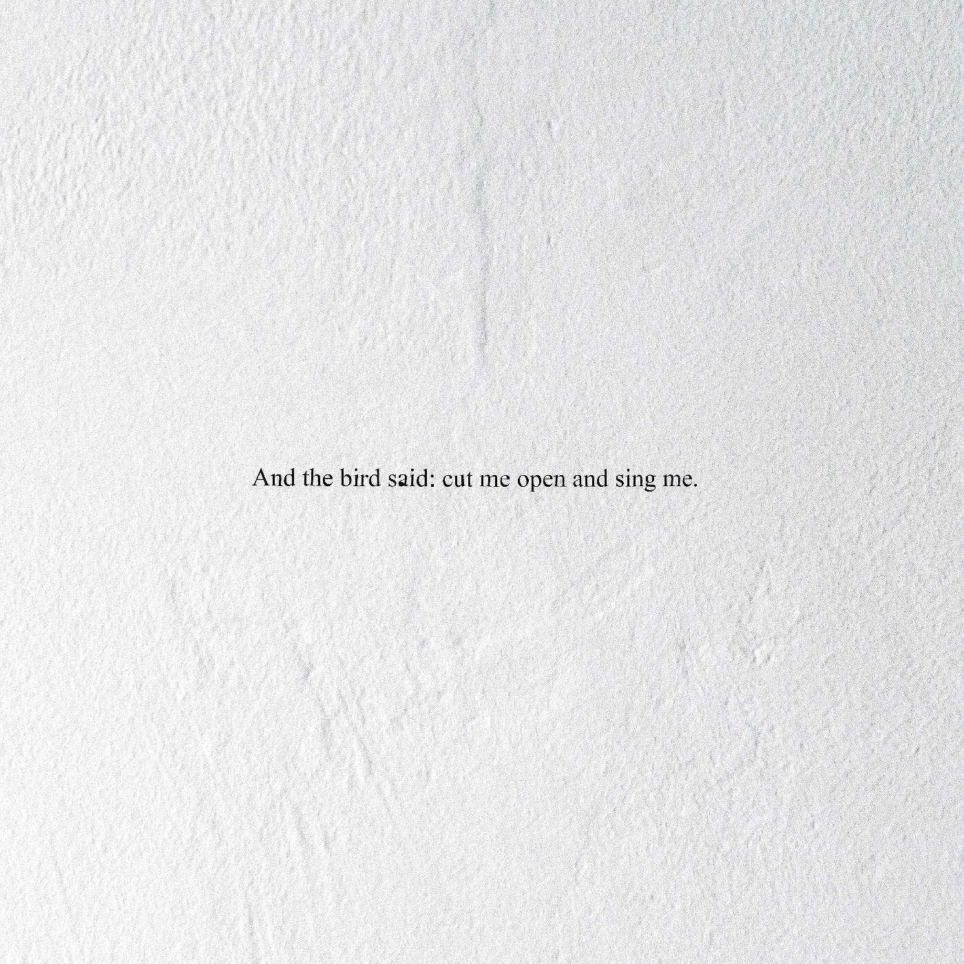 Релиз And the Bird Said: Cut Me Open and Sing Me