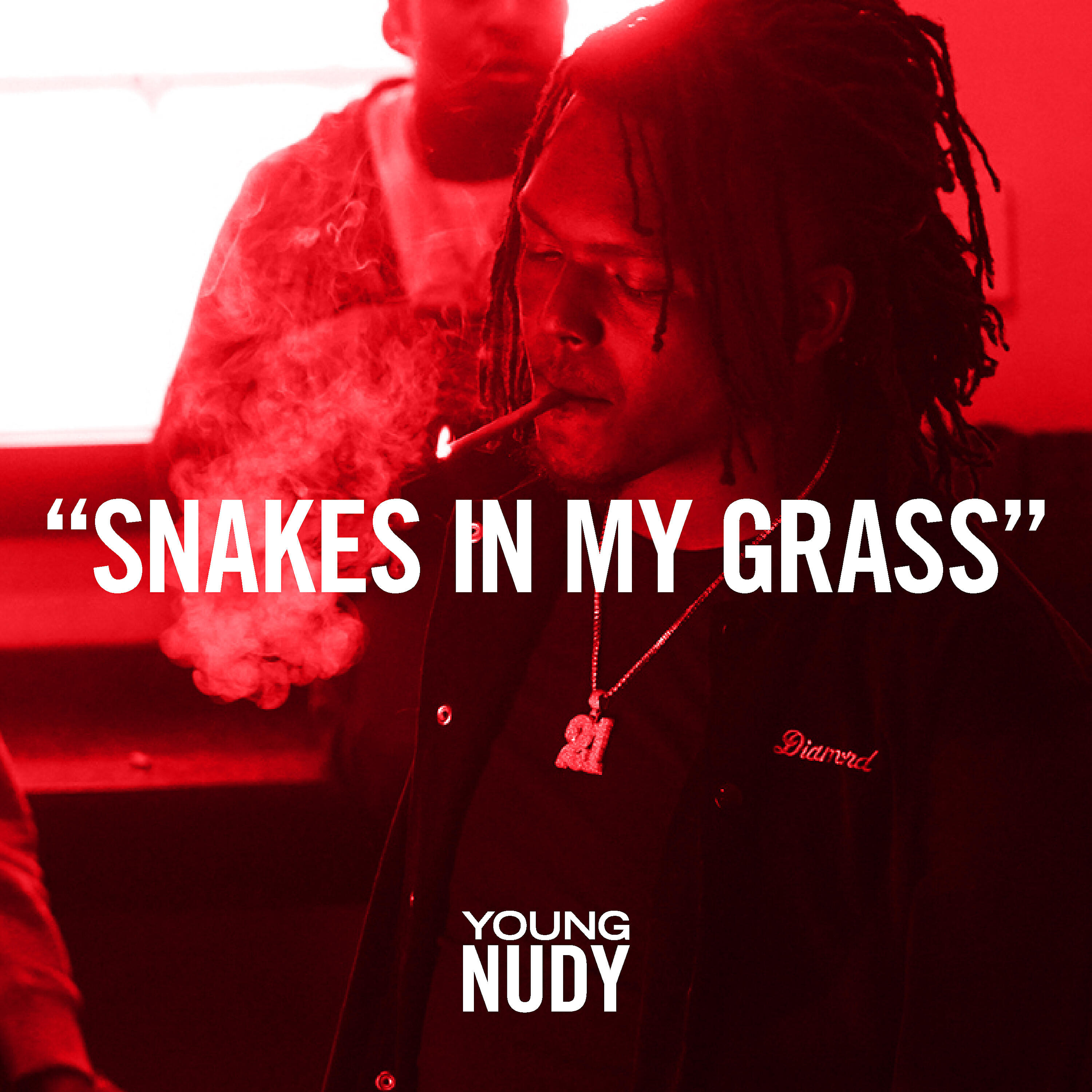Постер альбома Snakes In My Grass
