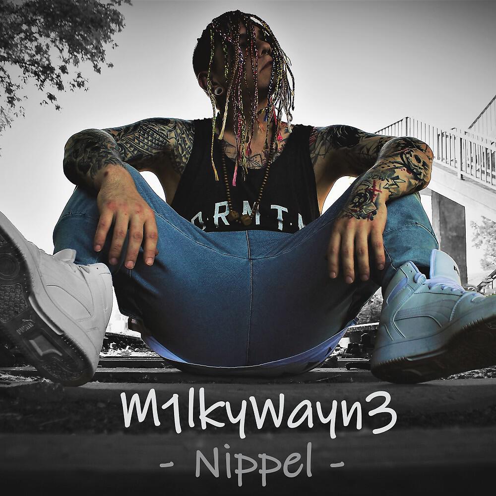 Релиз Nippel