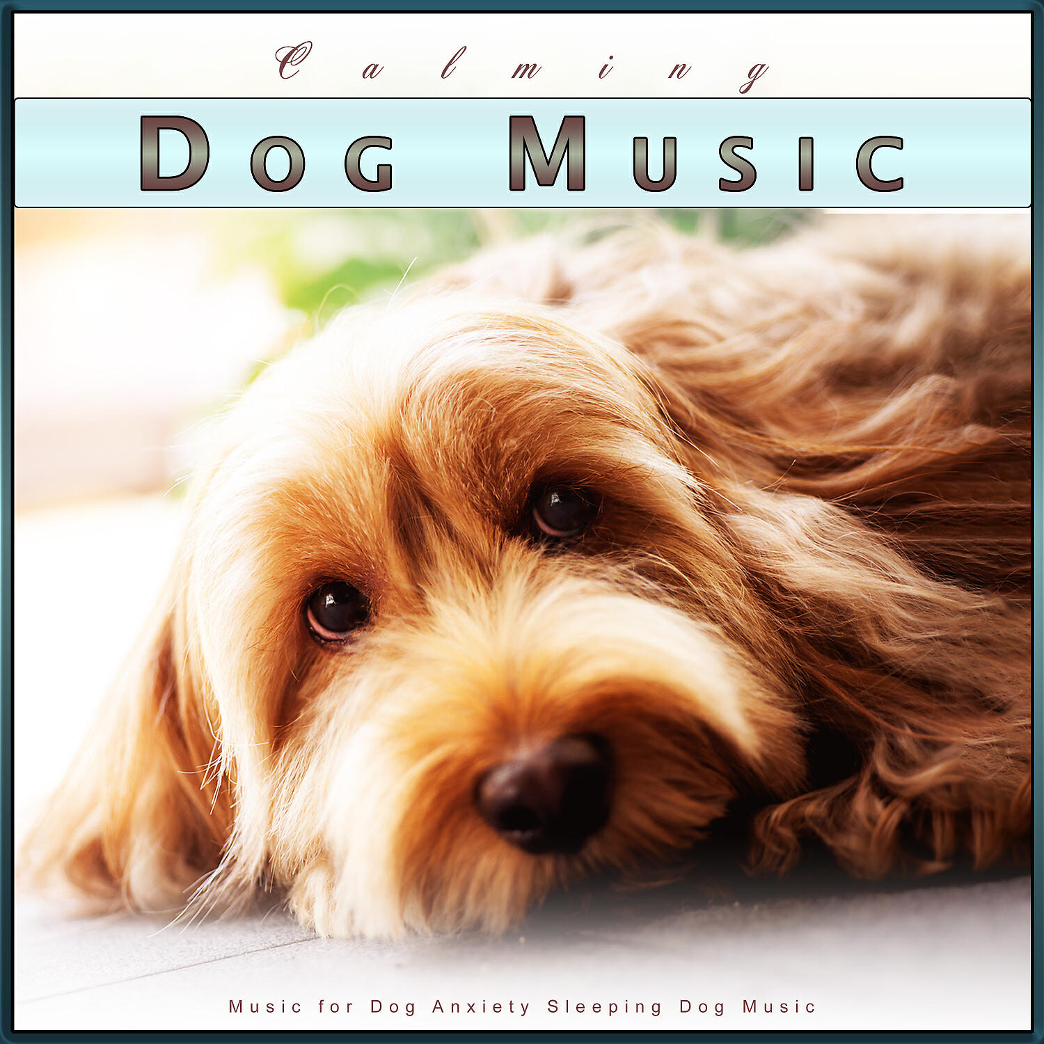 Релиз Calming Dog Music: Music for Dog Anxiety Sleeping Dog Music