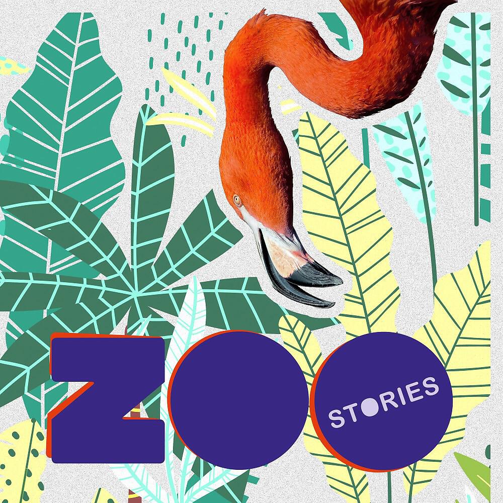 Релиз Zoo Stories