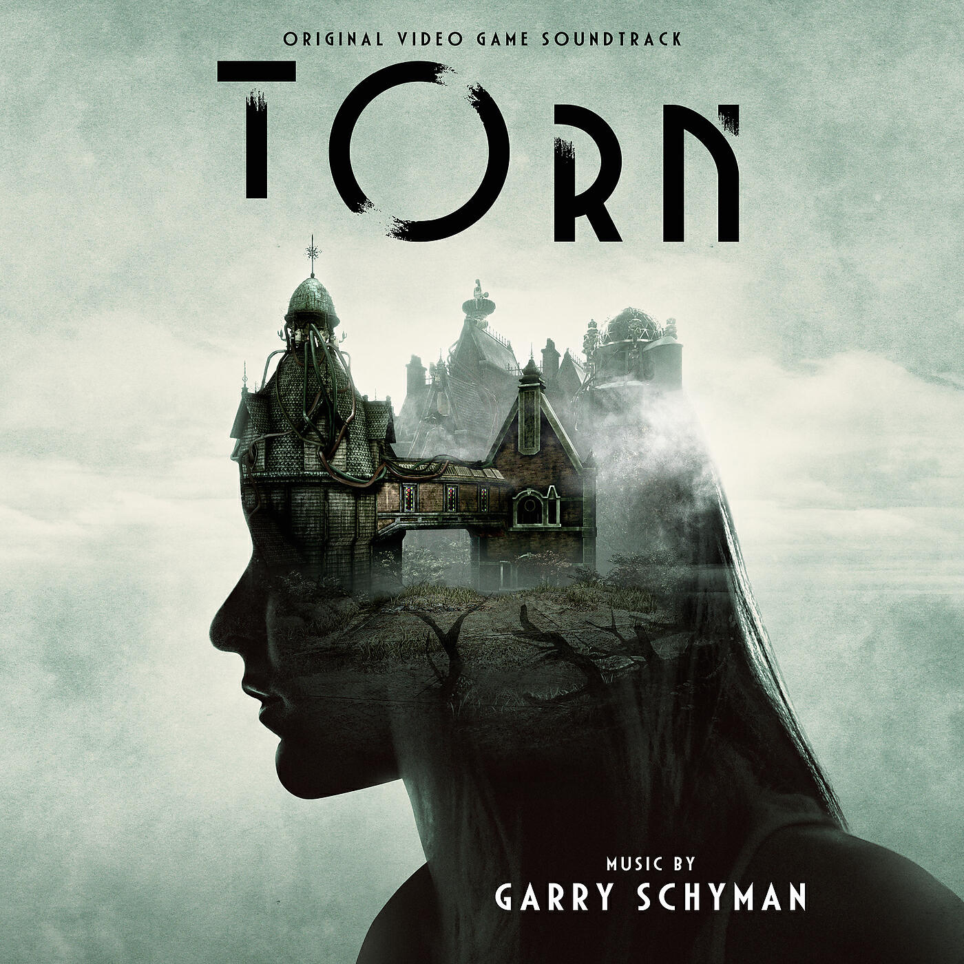 Релиз Torn