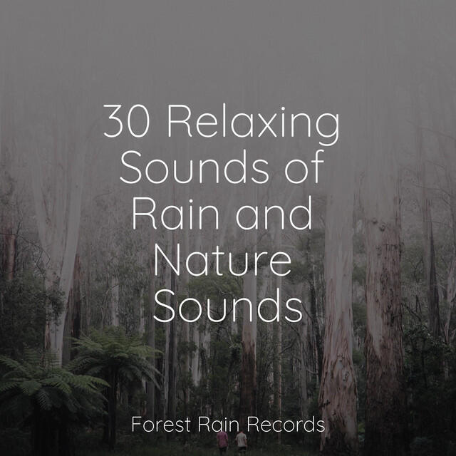 Sounds of Nature for Deep Sleep