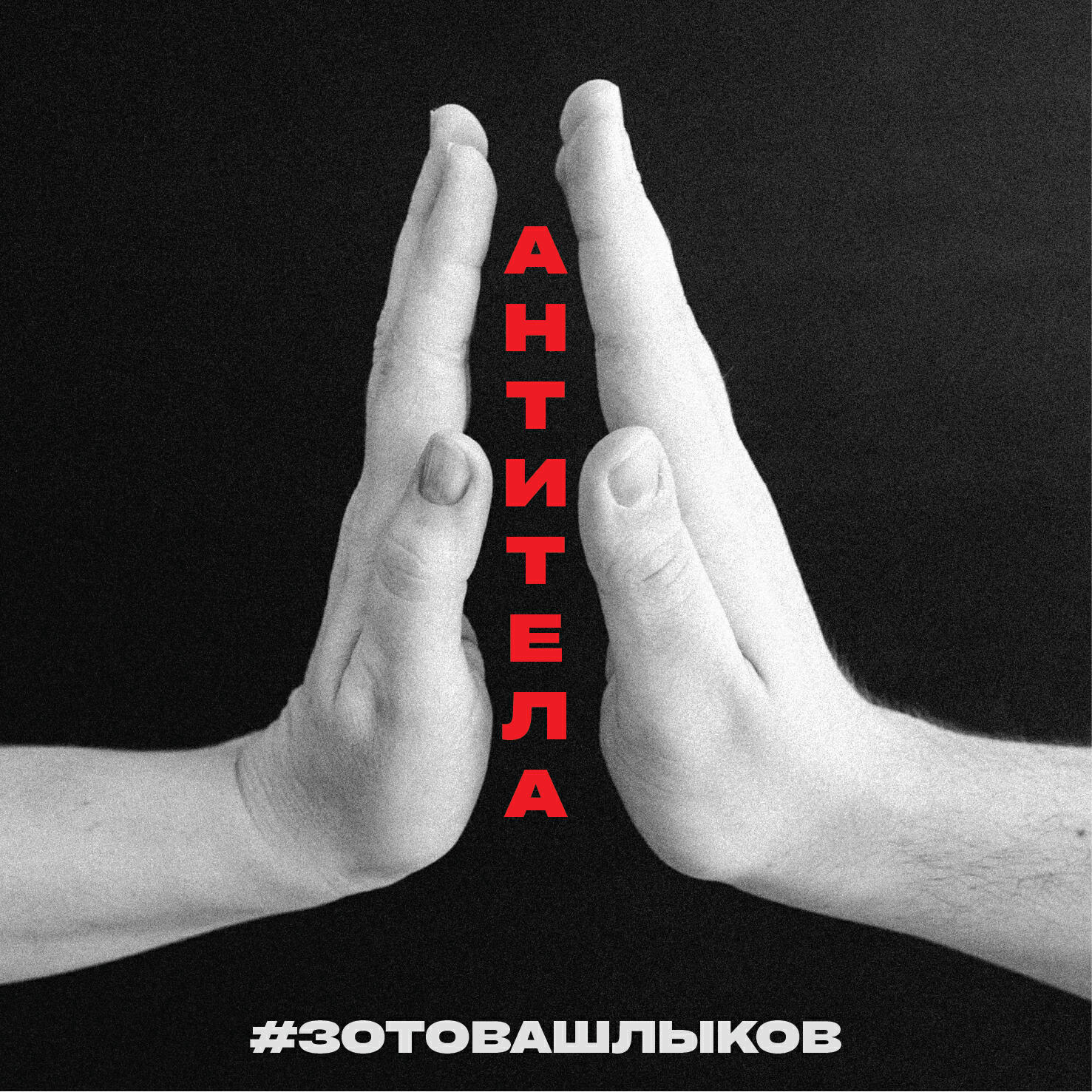 #ЗОТОВАШЛЫКОВ