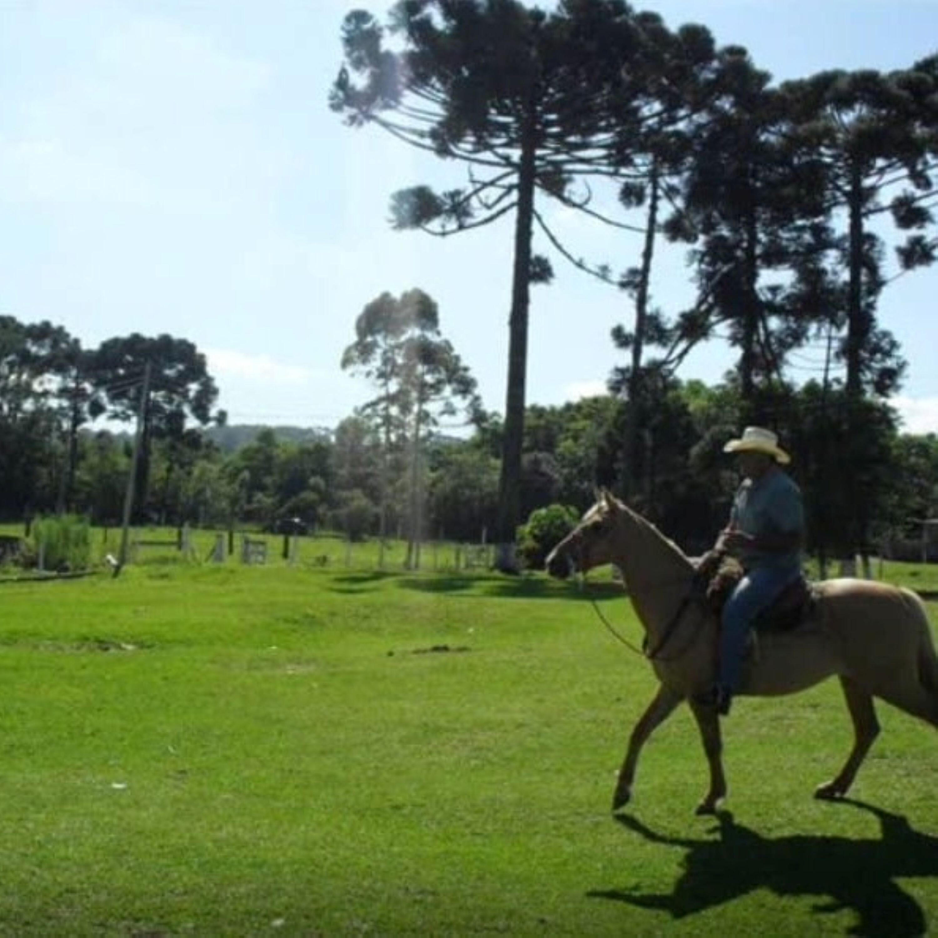 Релиз Singrando o Rio Grande do Sul