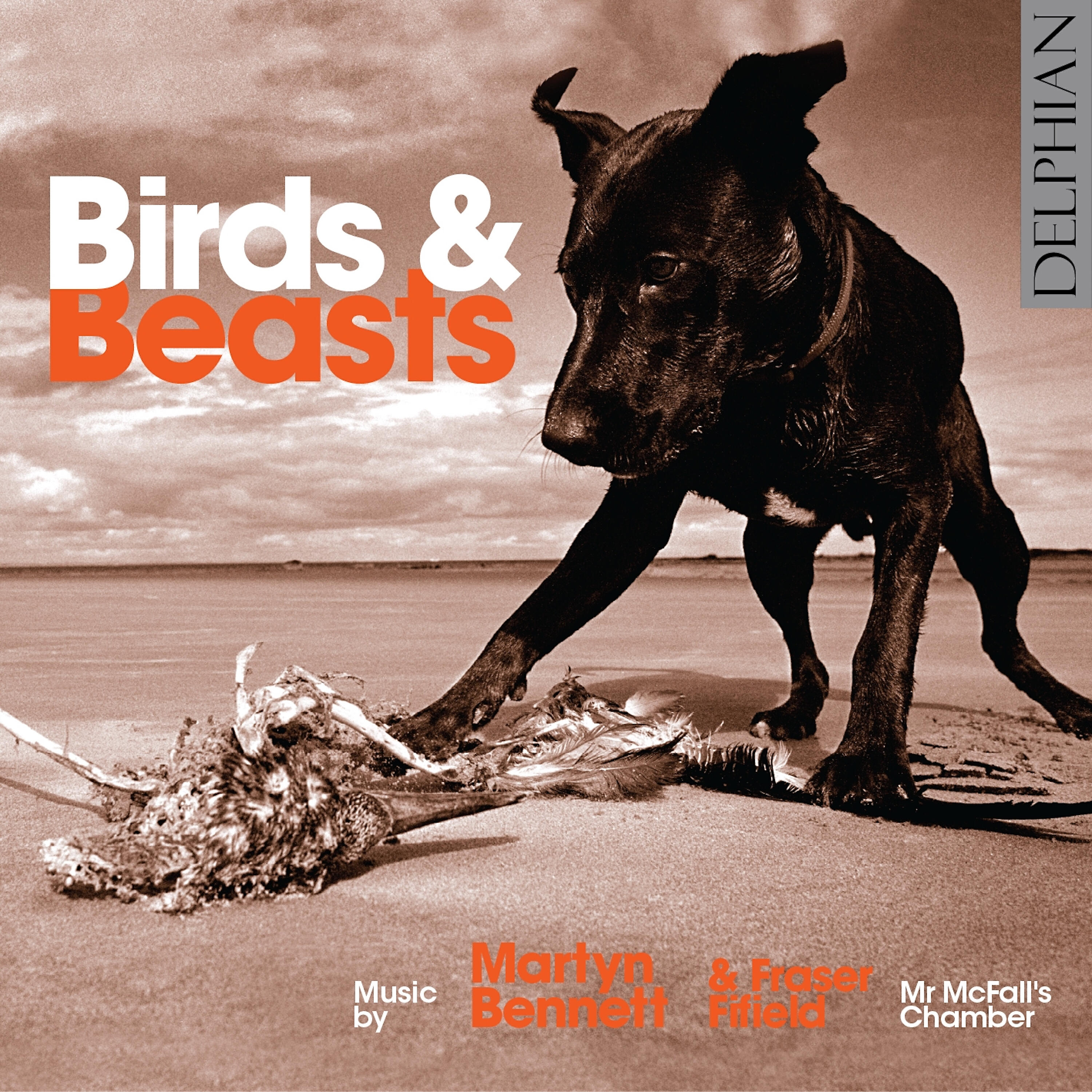 Релиз Birds & Beasts - Music by Martyn Bennett & Fraser Fifield