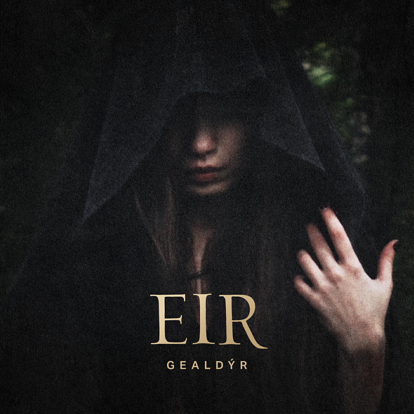 Релиз Eir