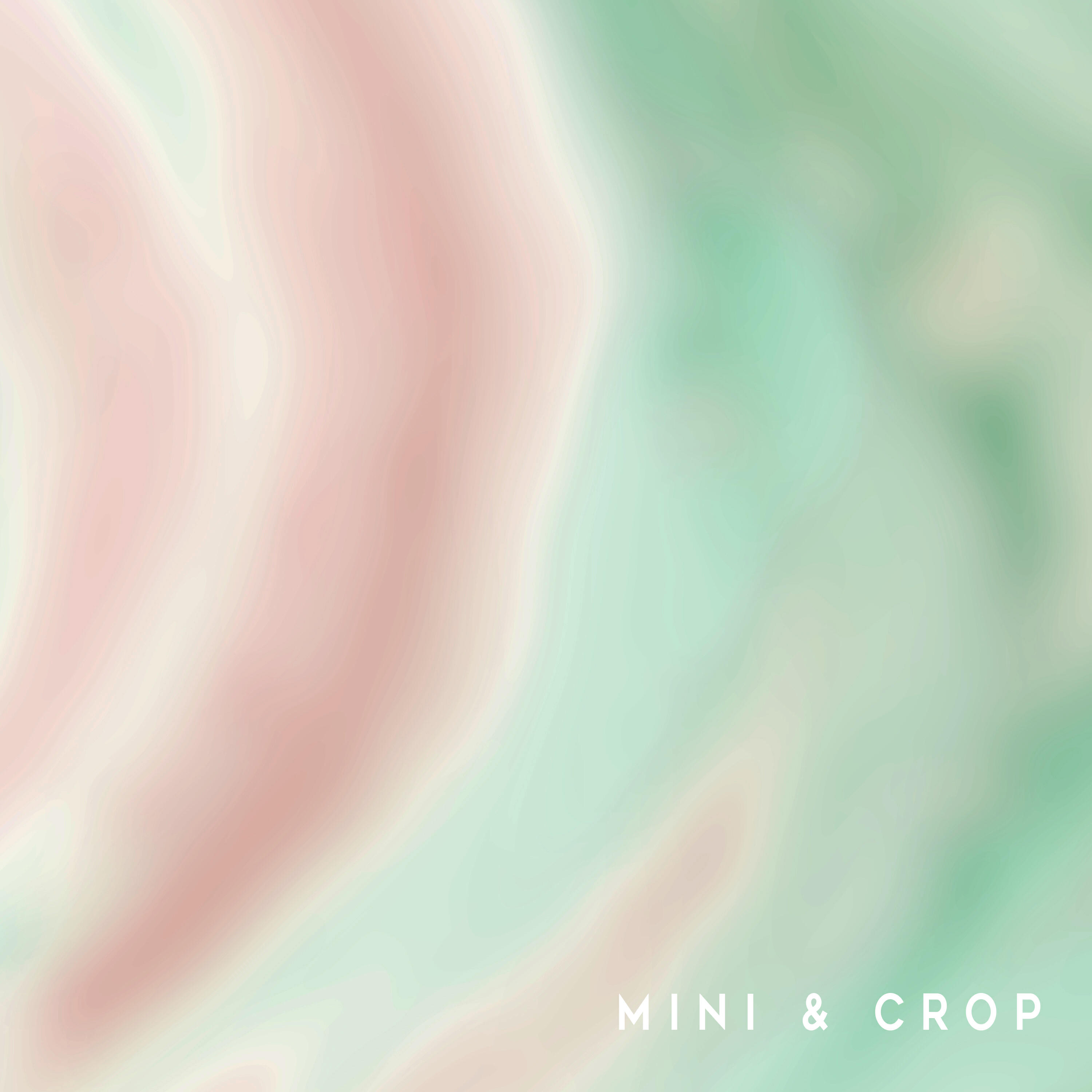 Релиз Mini & Crop