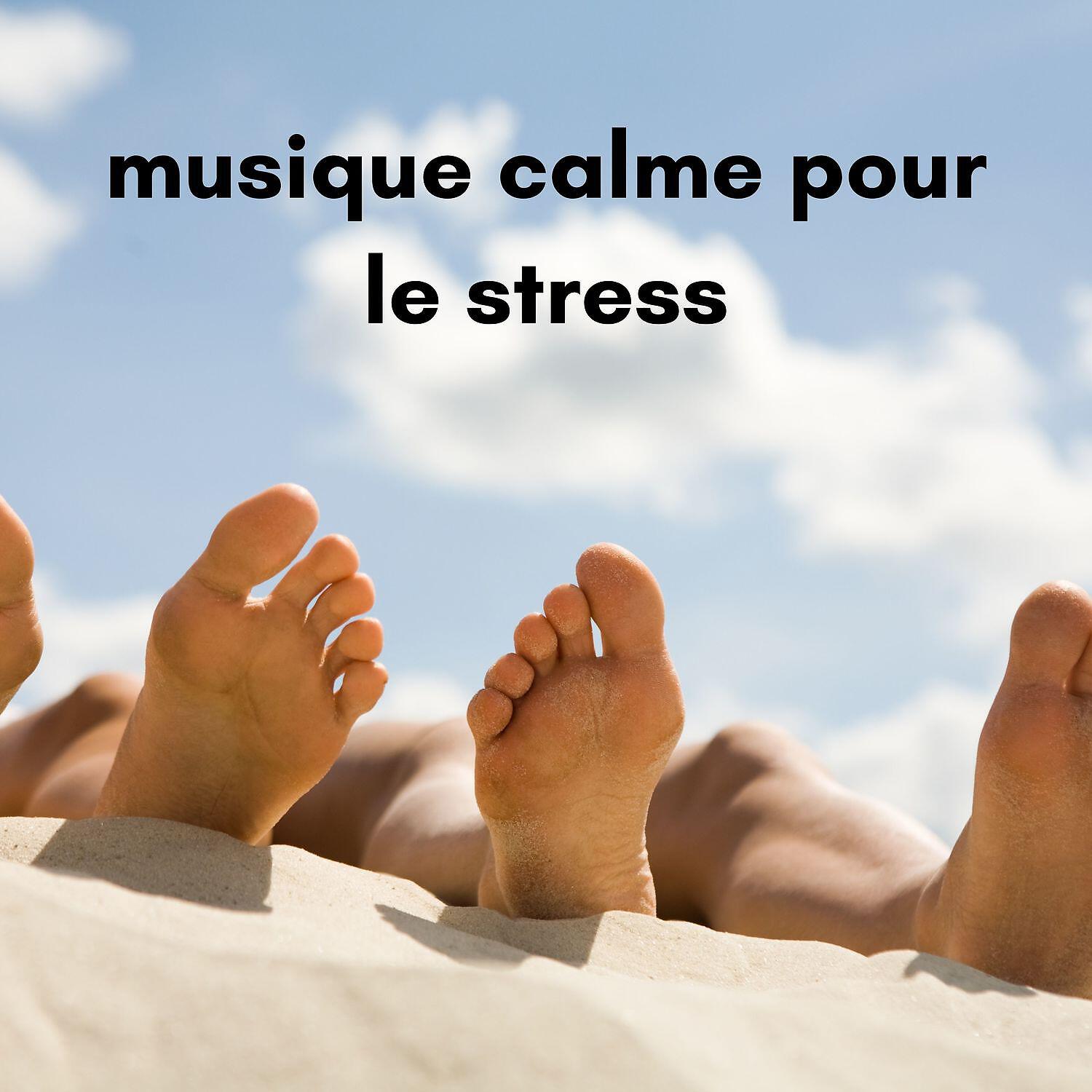 Релиз Musique calme pour le stress, Sommeil profond, Détente et Bien-etre
