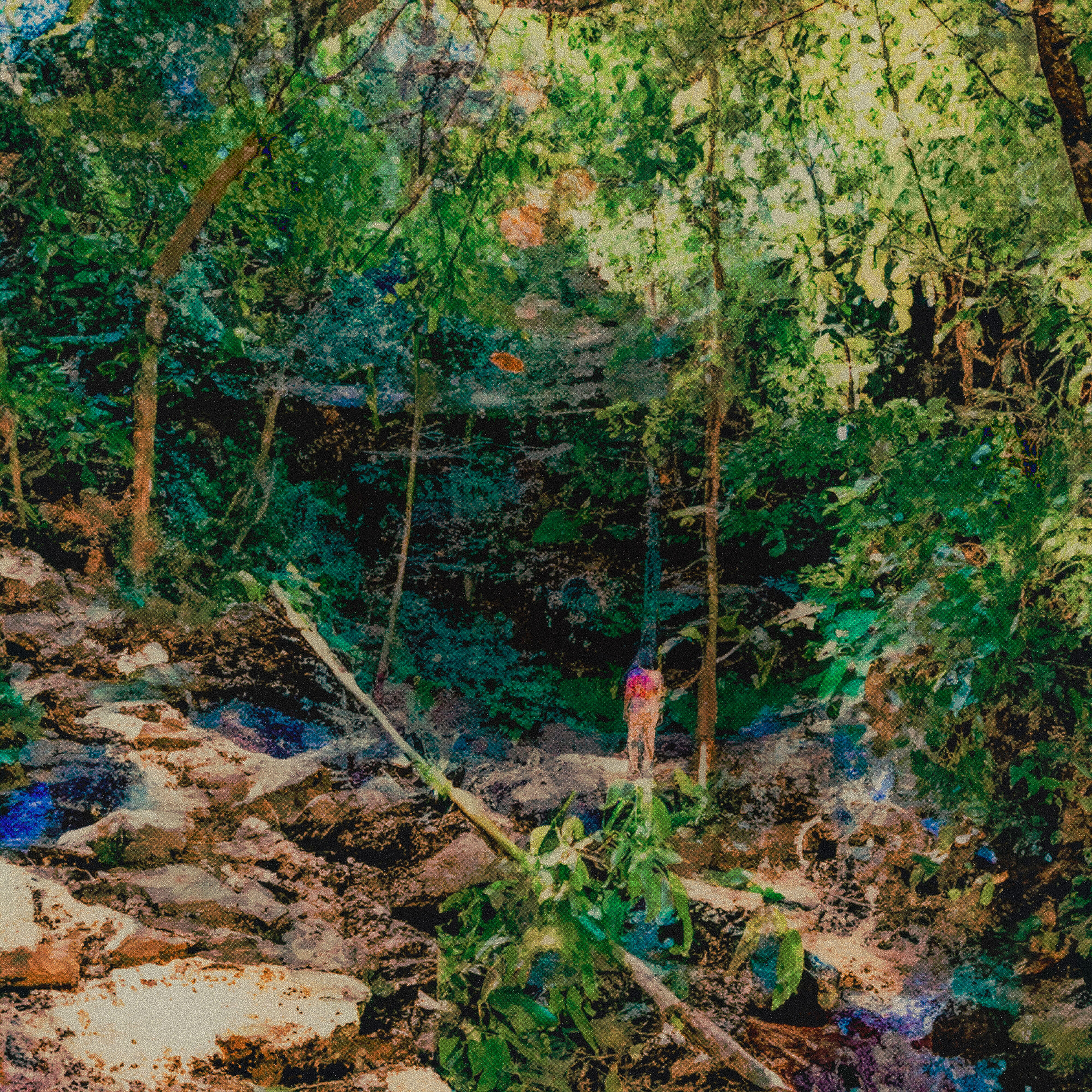 Релиз Músicas de Água e Pedra, Sambaíba