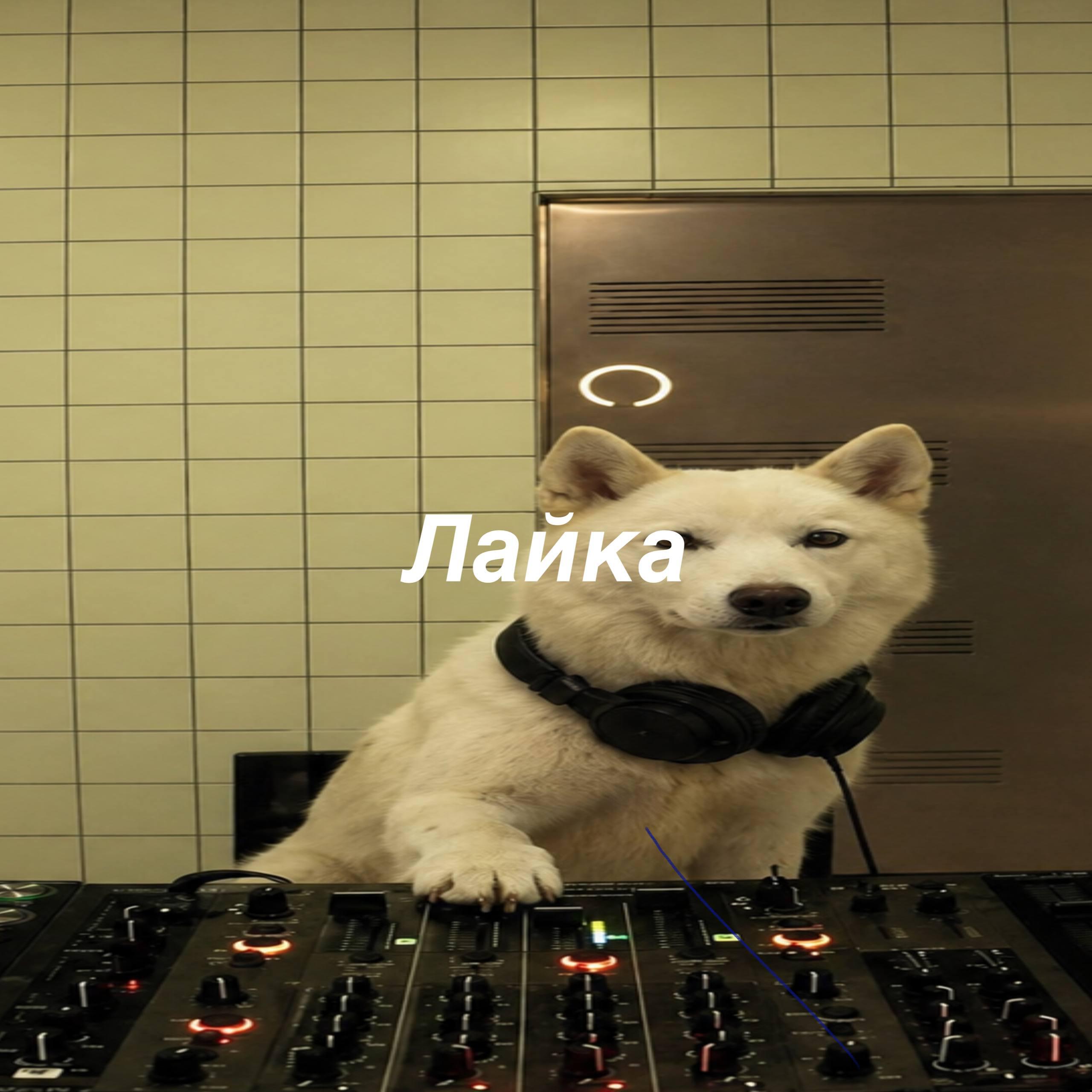 Релиз лайка