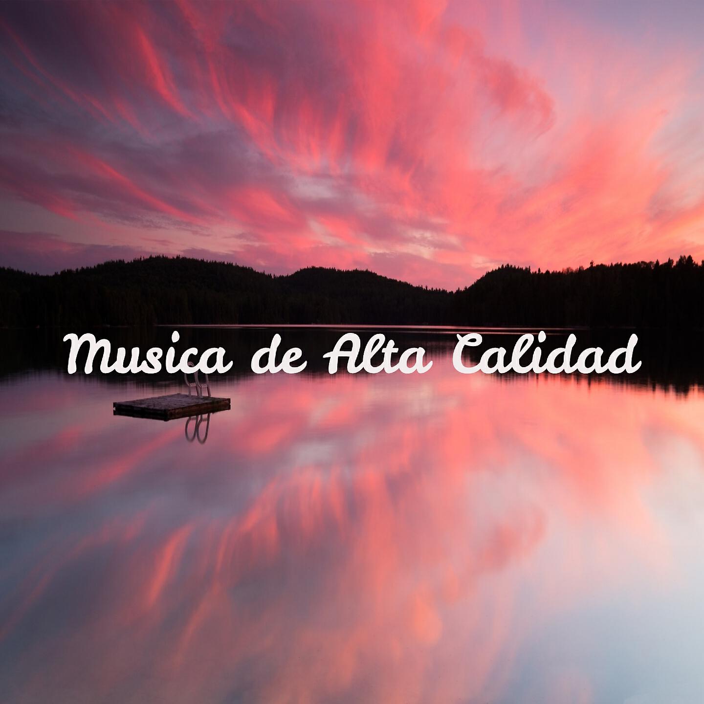 Постер альбома Musica de Alta Calidad