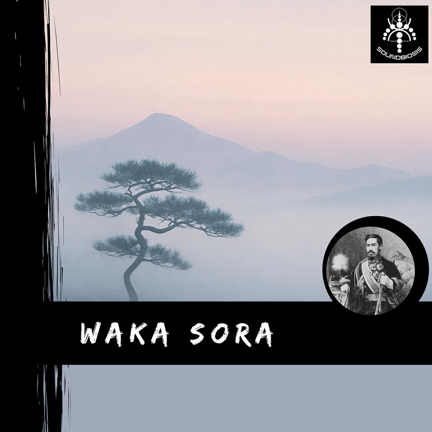 Релиз Waka Sora