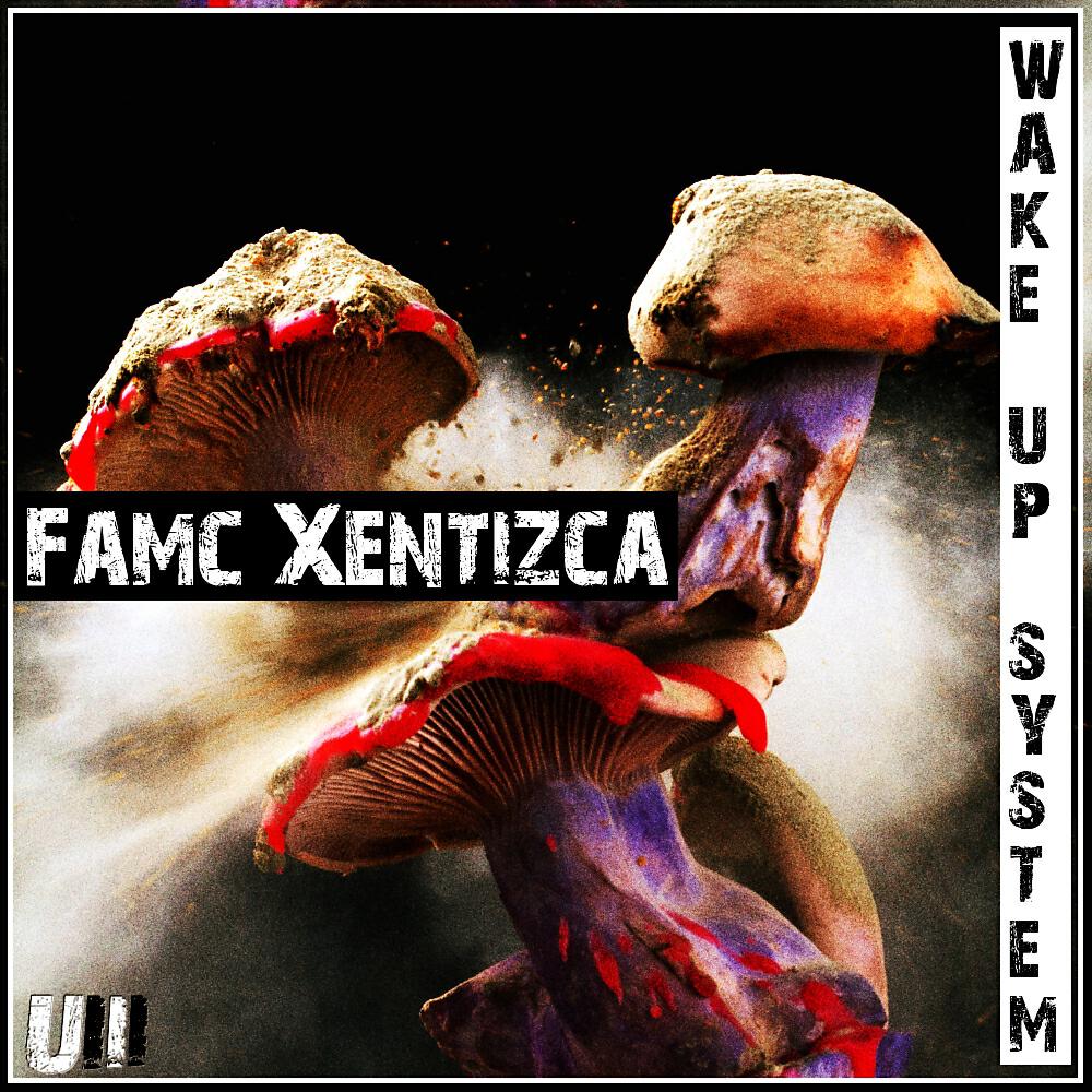 Релиз Wake Up System