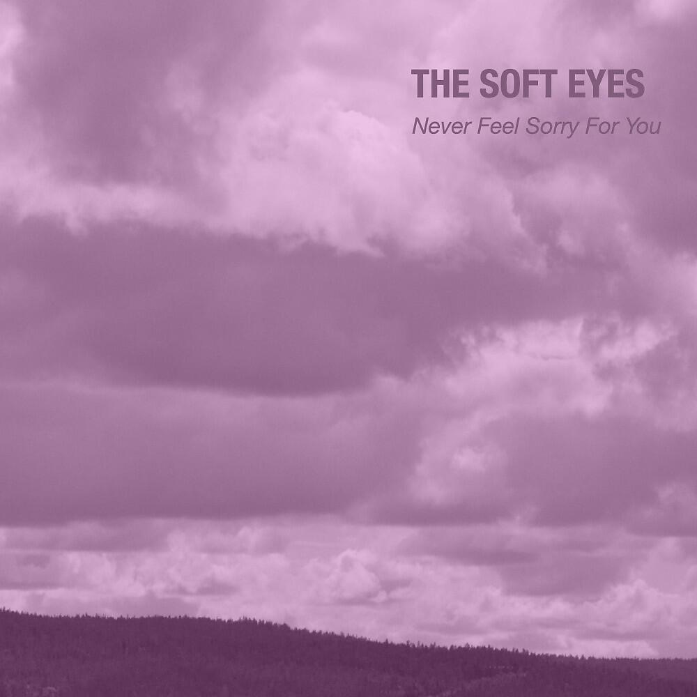 Релиз Never Feel Sorry for You