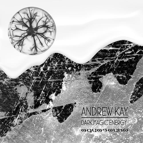 Andrew Kay