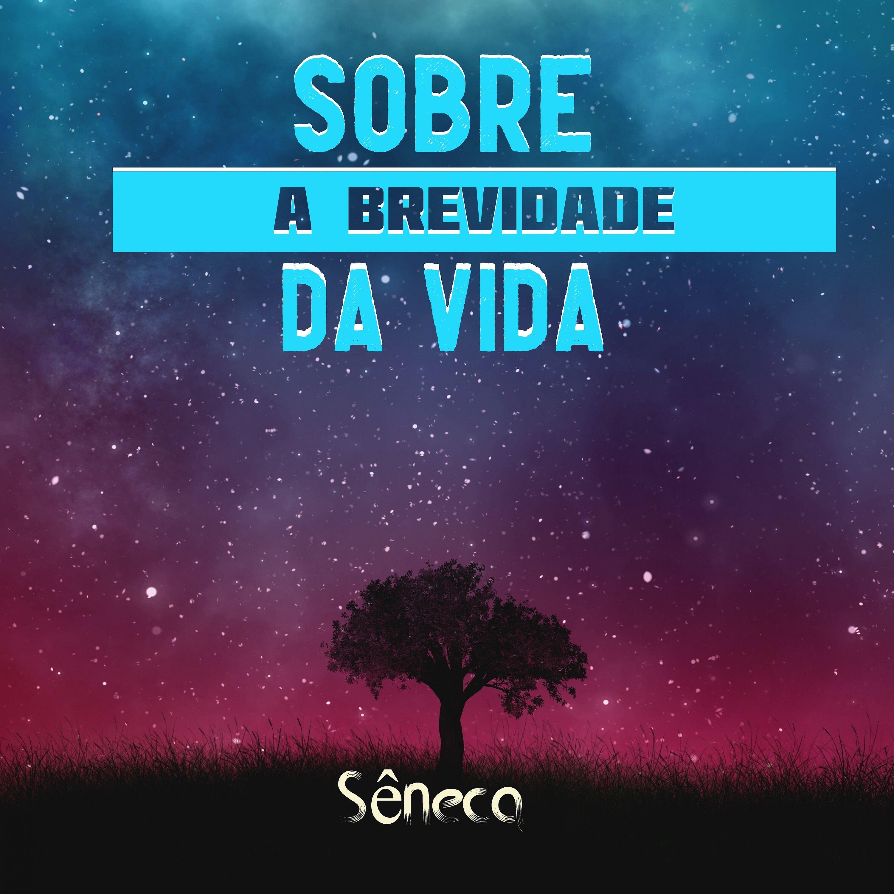 Релиз Sobre a Brevidade da Vida - Sêneca