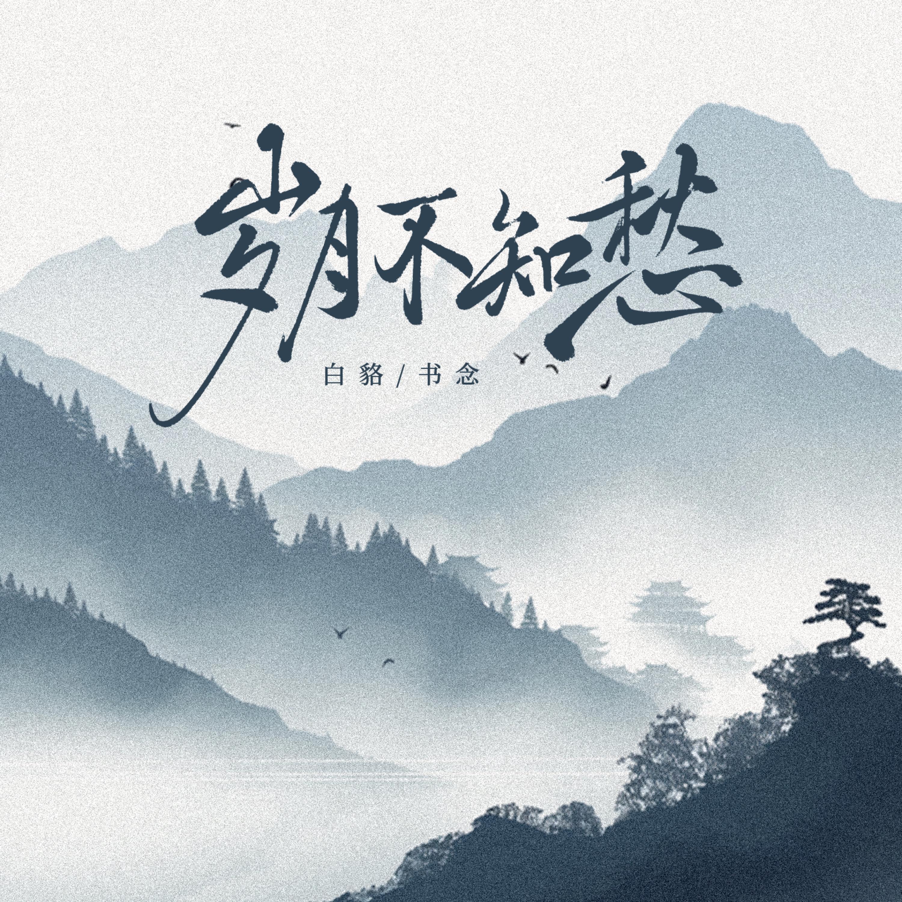 Релиз 岁月不知愁