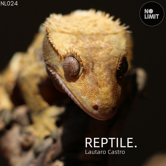 Релиз Reptile