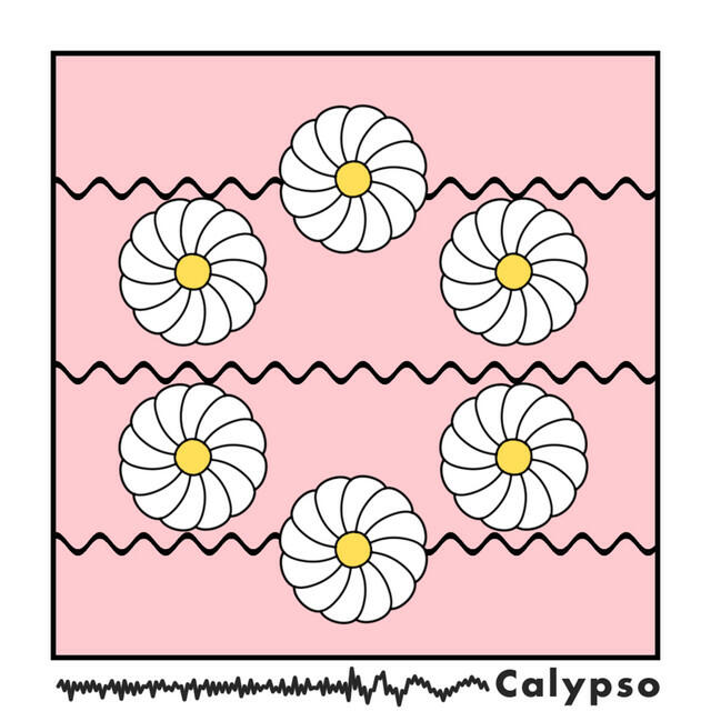 Релиз Calypso