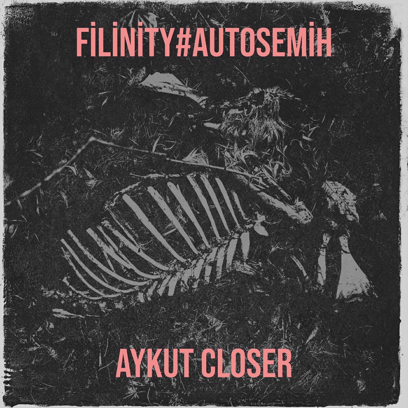 Релиз Filinity#Autosemih