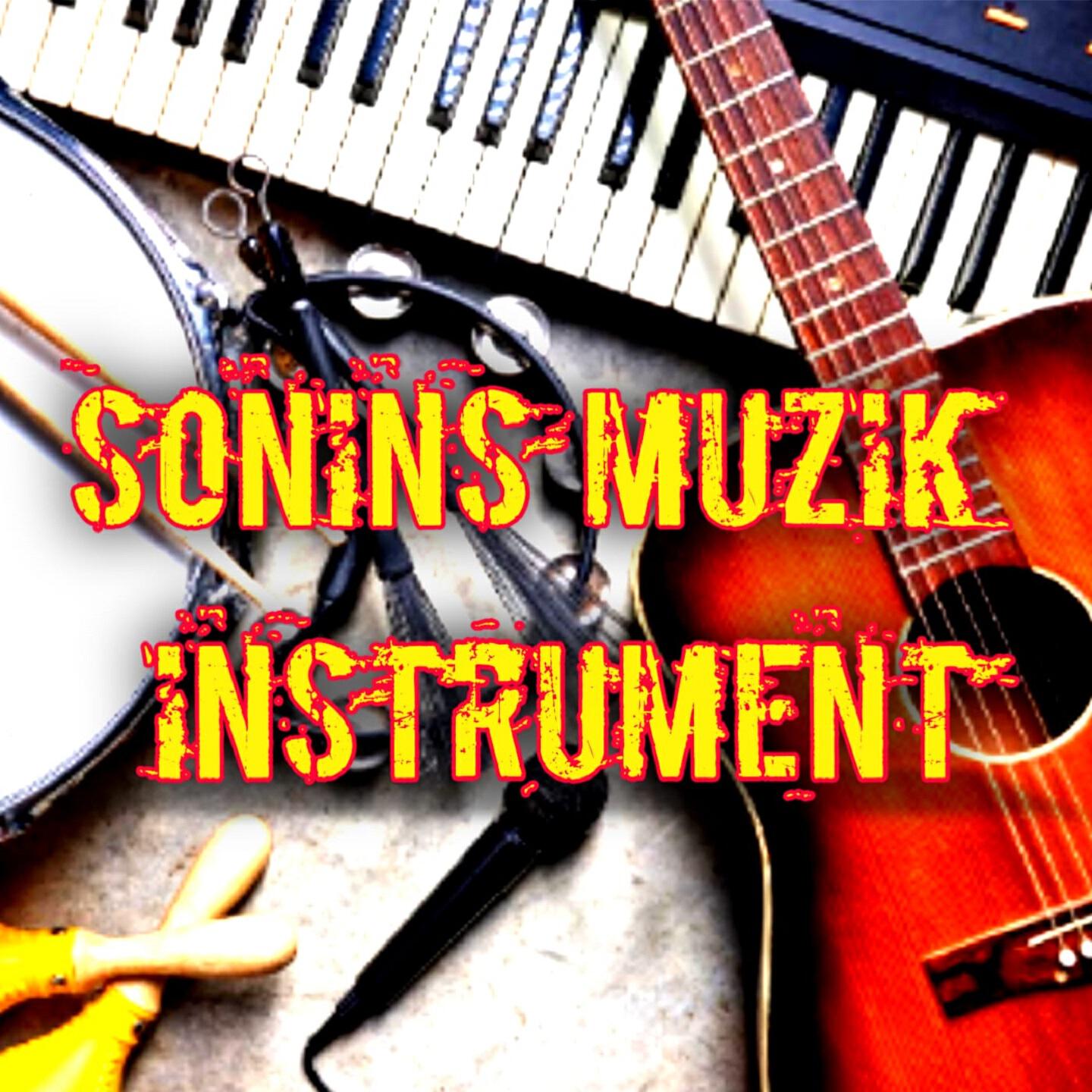 Релиз INSTRUMENT SONINS MUZIK
