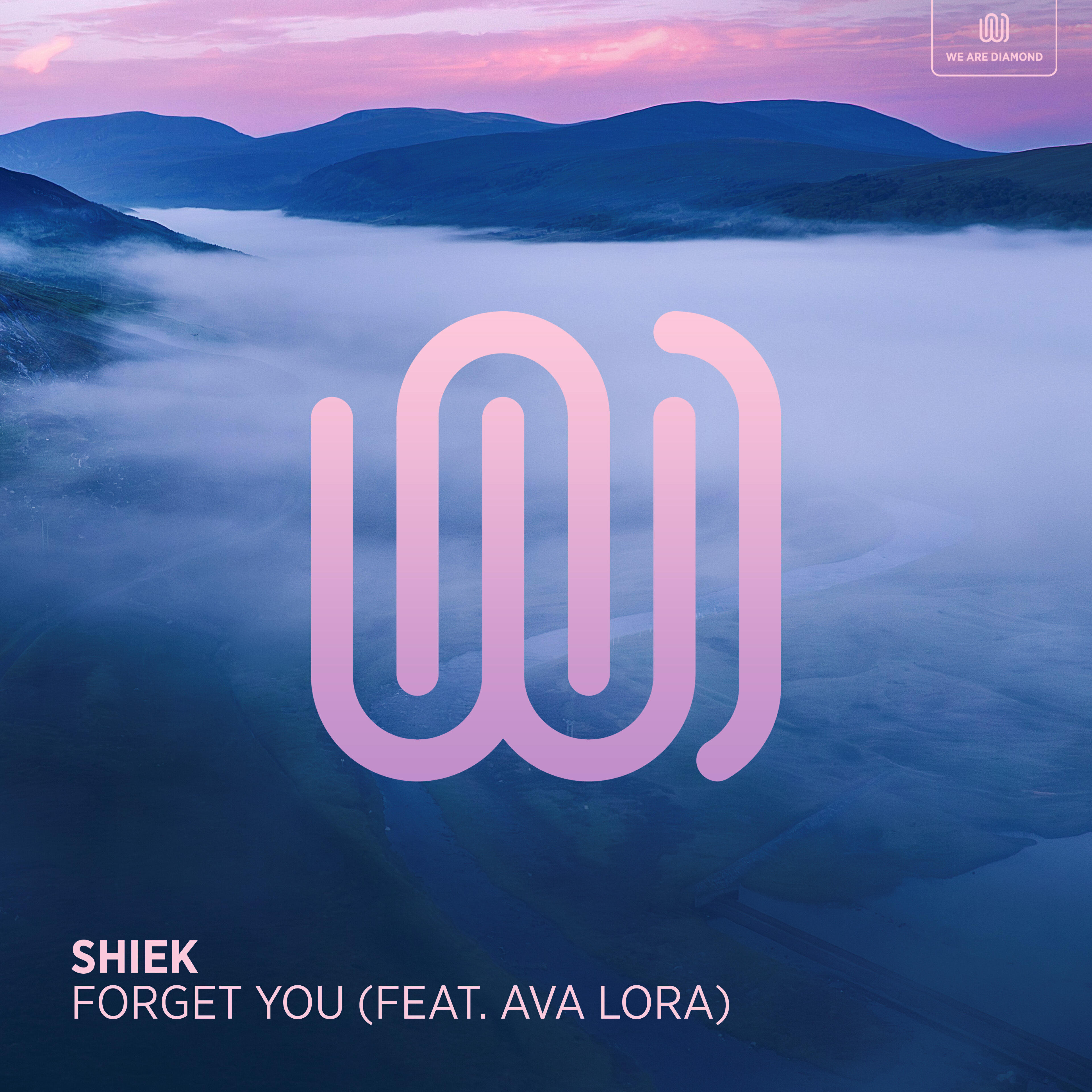 Релиз Forget You