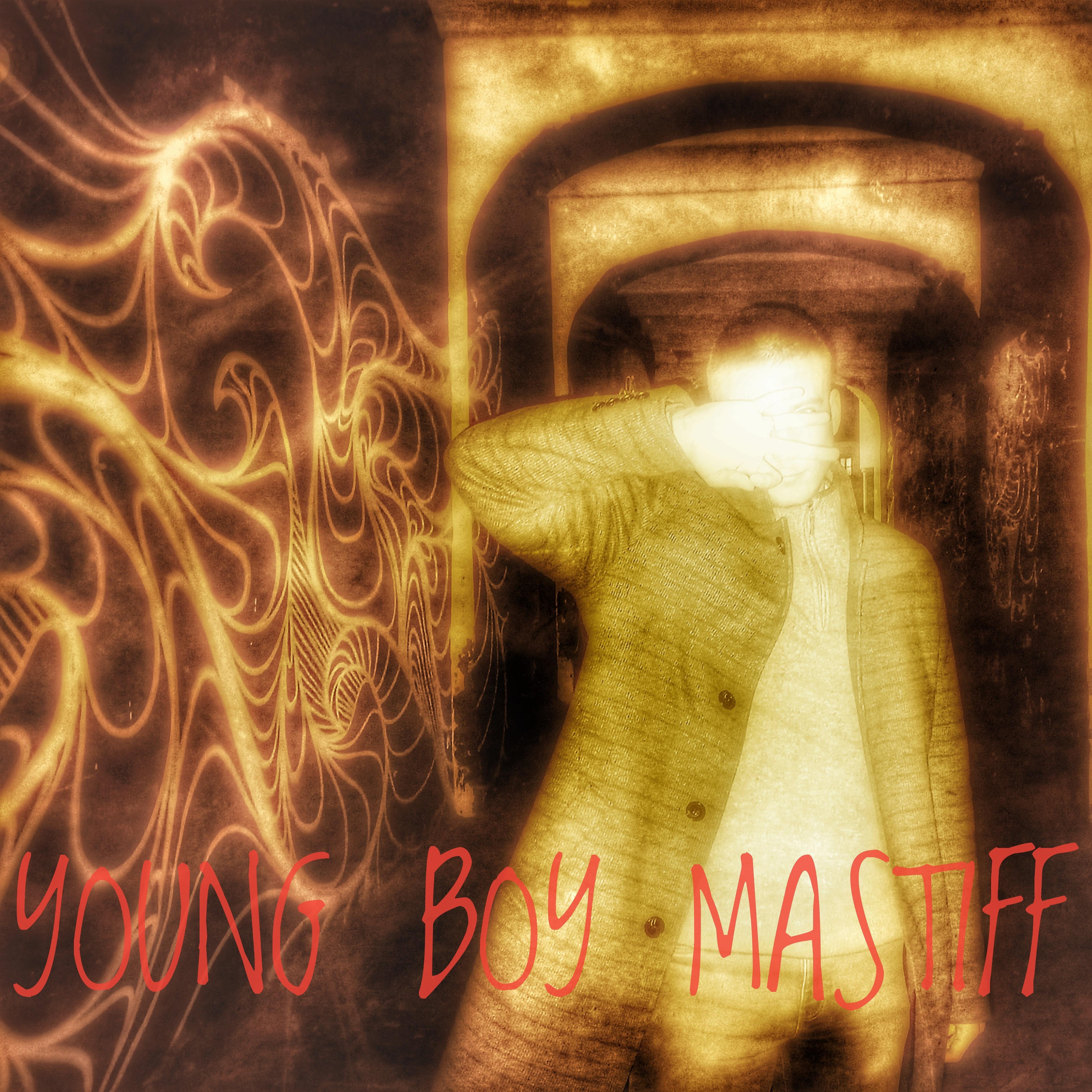 Релиз Young Boy Mastiff