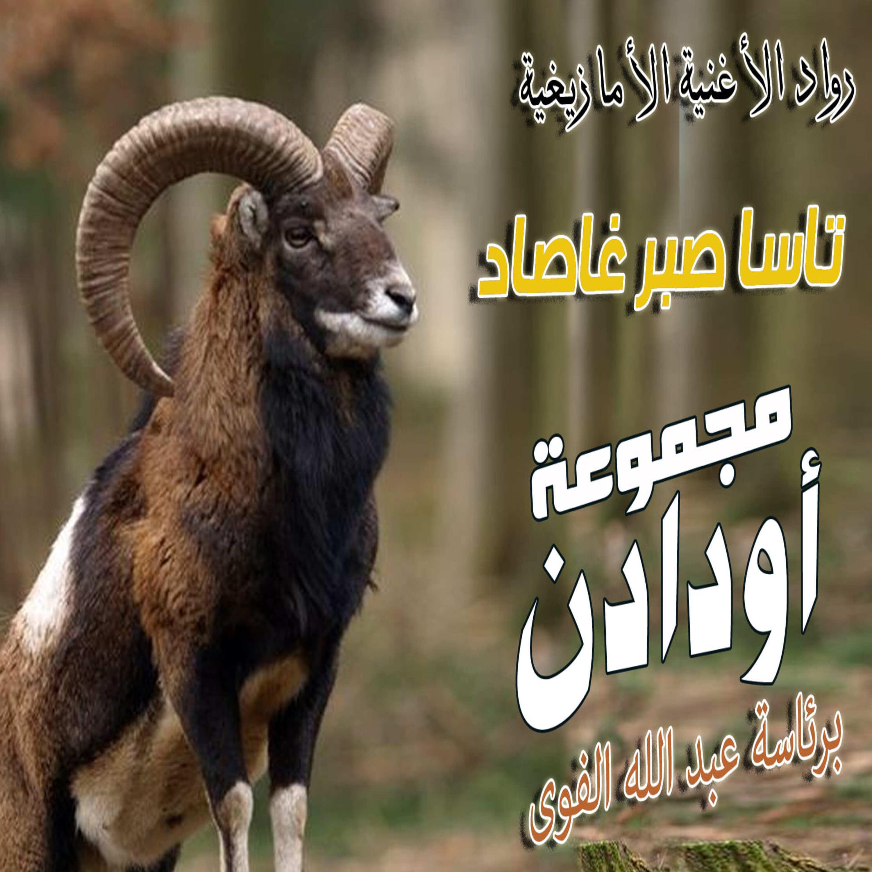 Релиз Tassa Sbar Ghassad