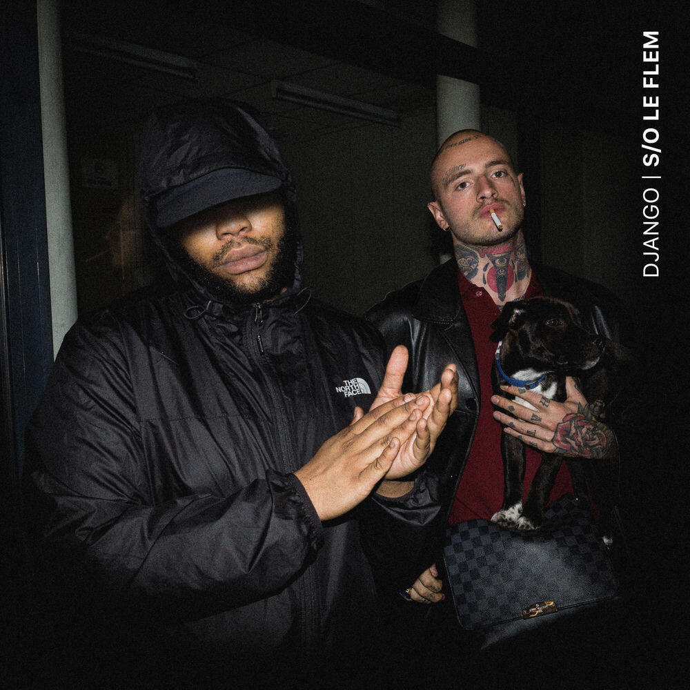 Релиз S/O le Flem