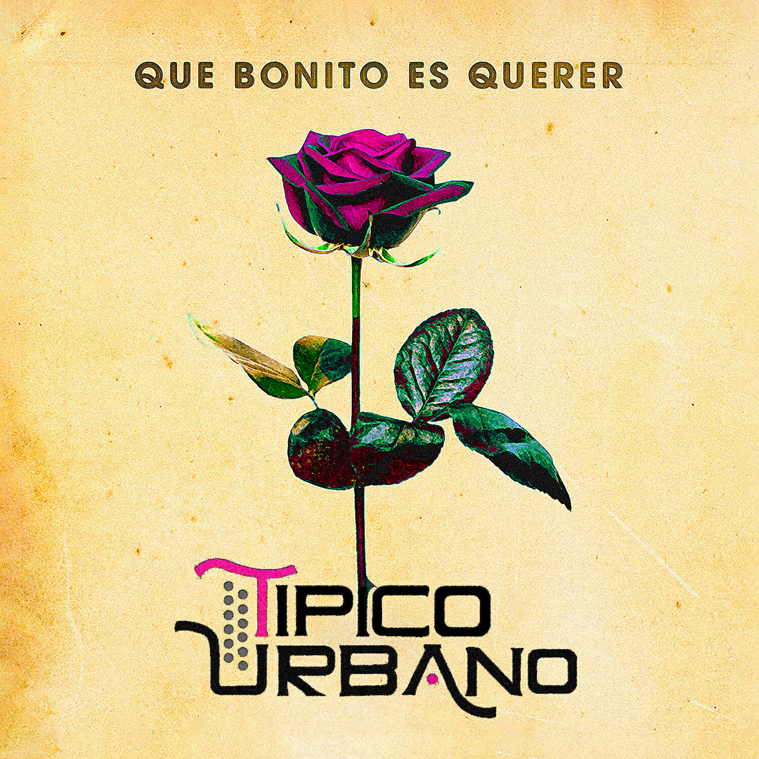 Tipico Urbano