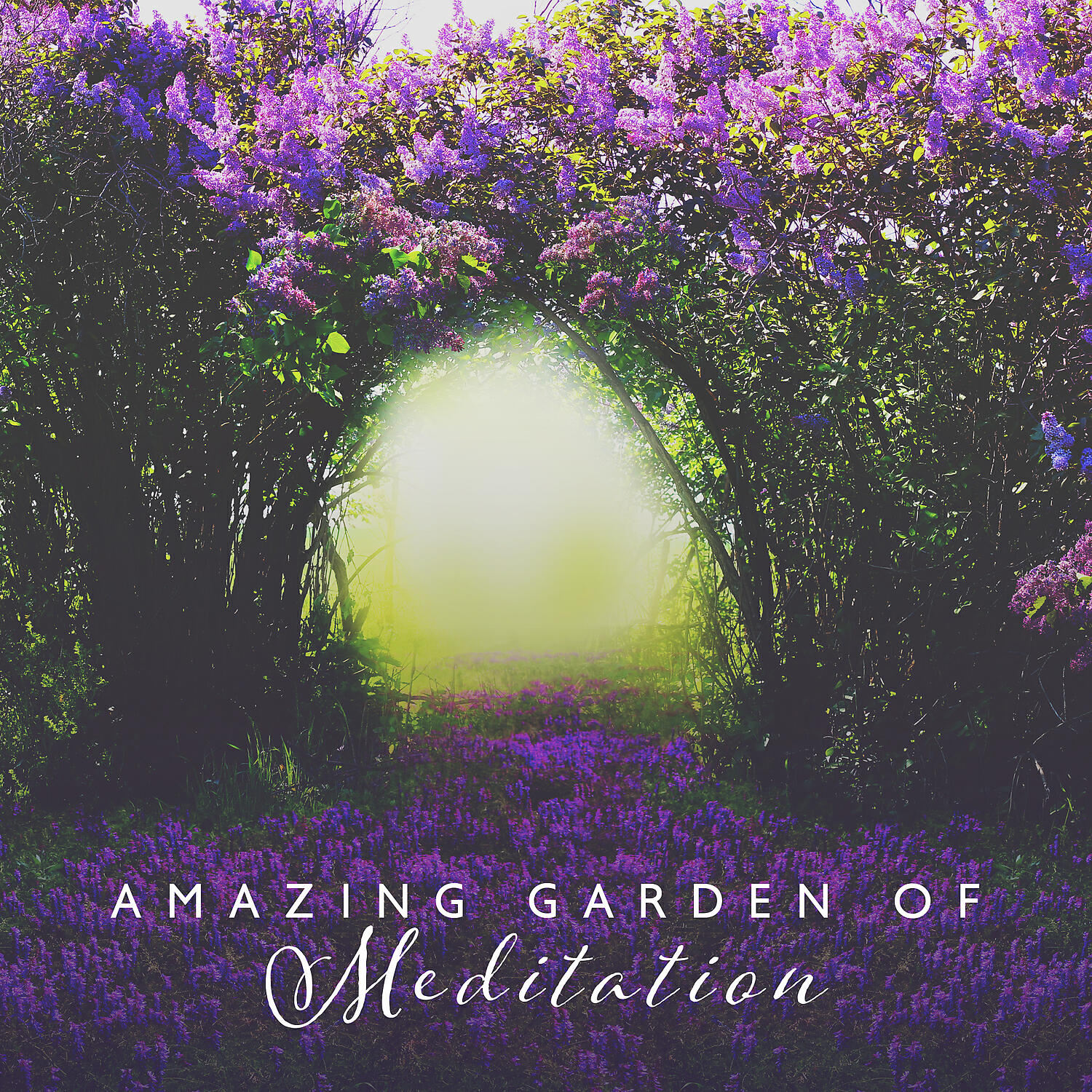 Релиз Amazing Garden of Meditation: Nature Sounds for Spiritual Awakening & Yoga Music