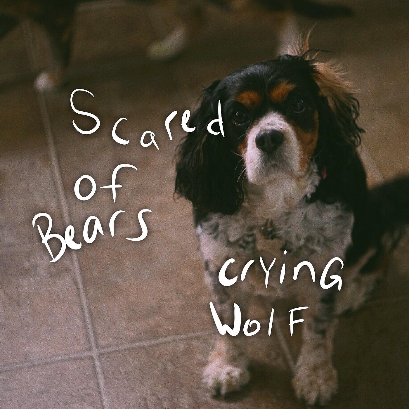 Релиз Crying Wolf