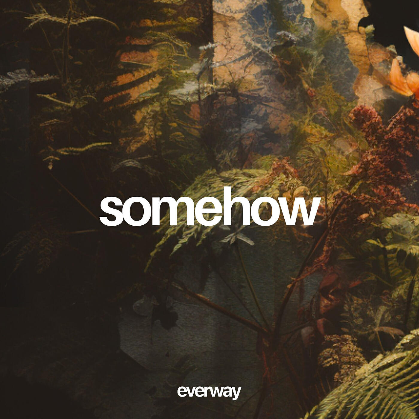 Релиз Somehow