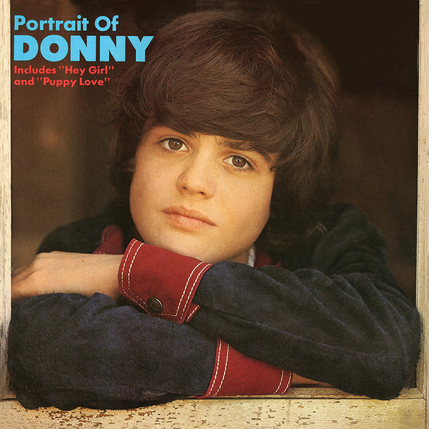 Релиз Portrait Of Donny