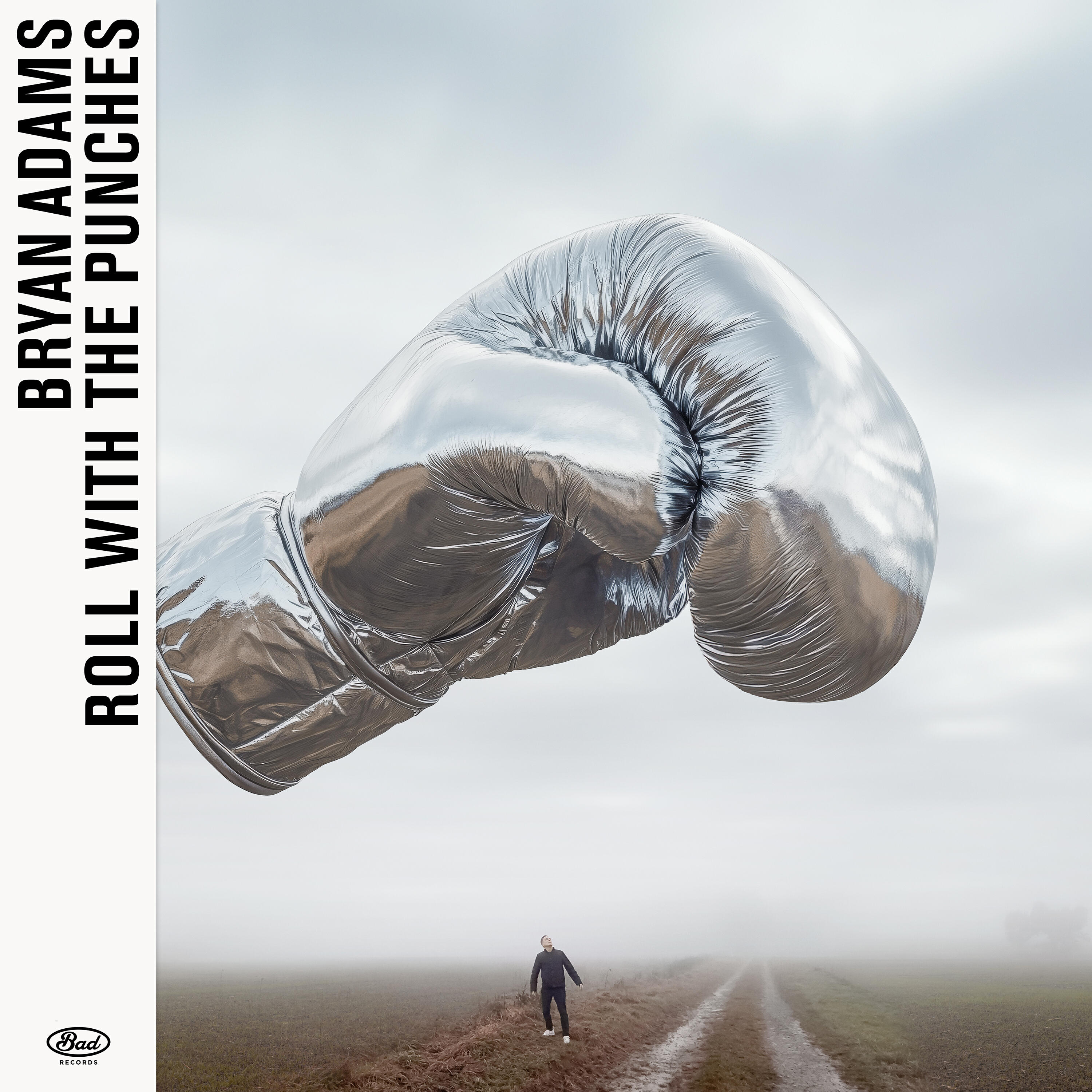 Релиз Roll With The Punches