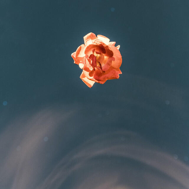 Релиз Everytime