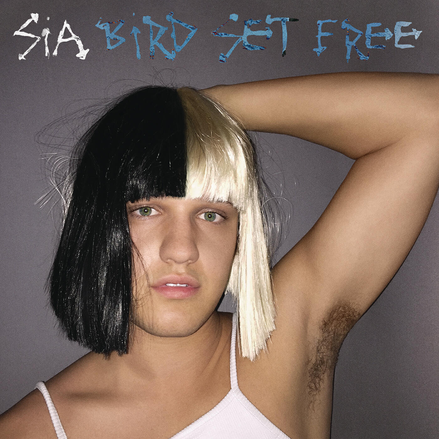 Релиз Bird Set Free