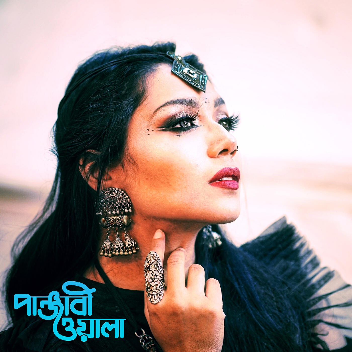 Релиз Panjabiwala