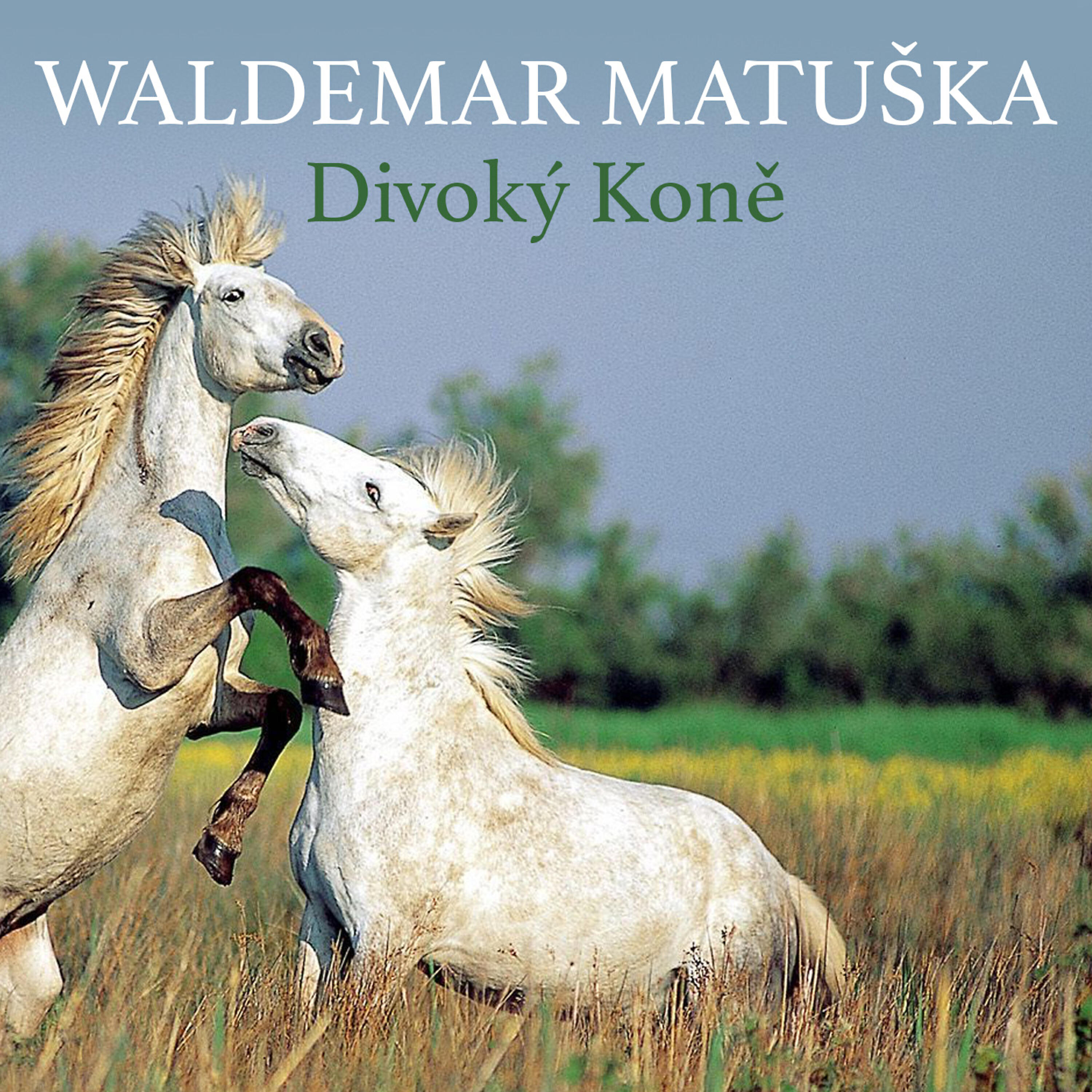 Релиз Divoký Koně