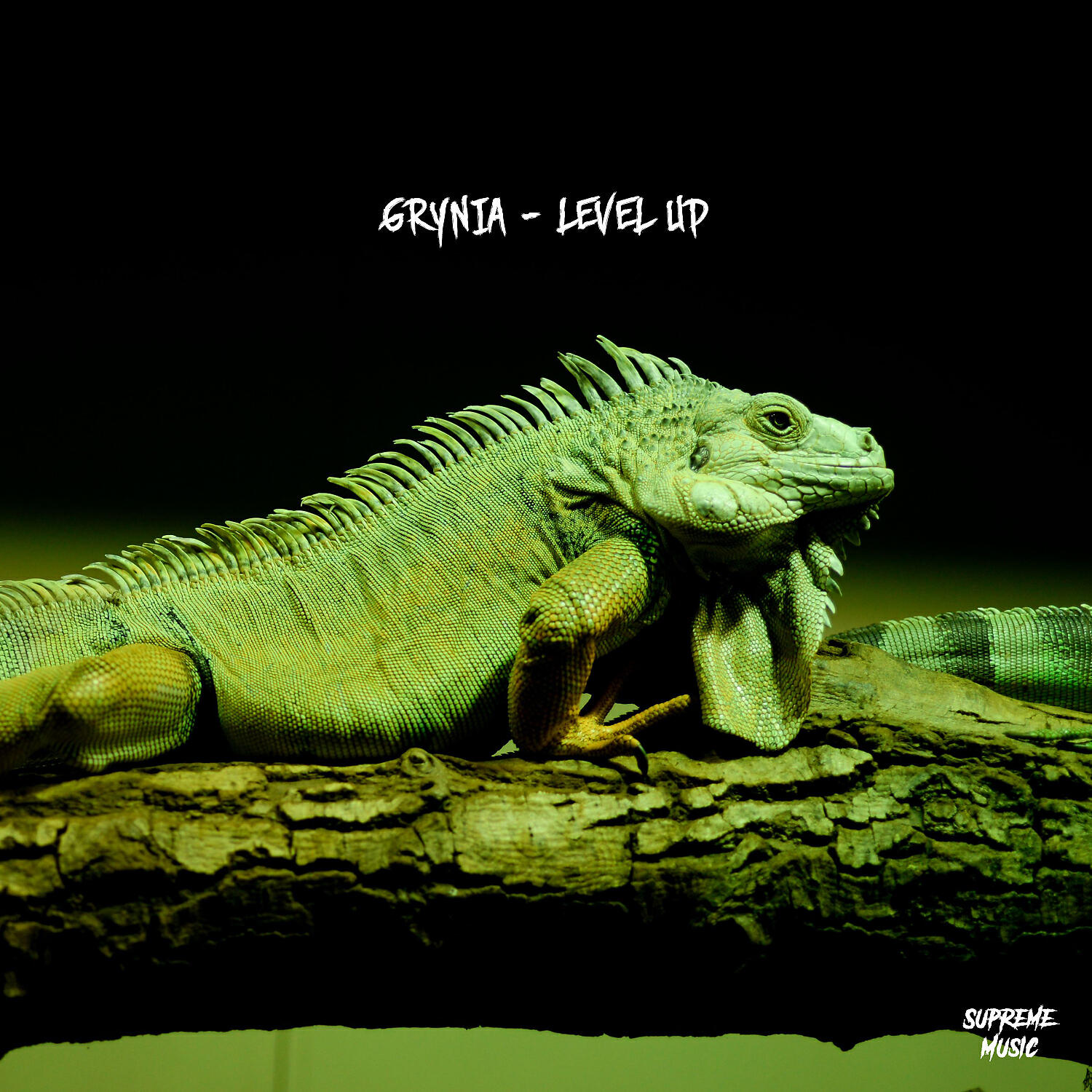 Релиз Level Up