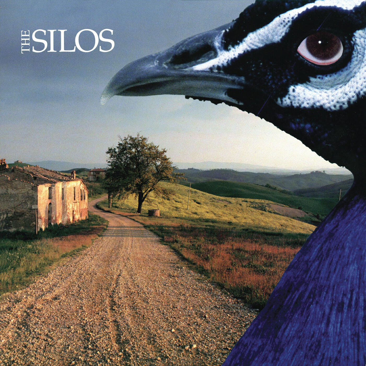 Релиз The Silos (Bonus Track Version)